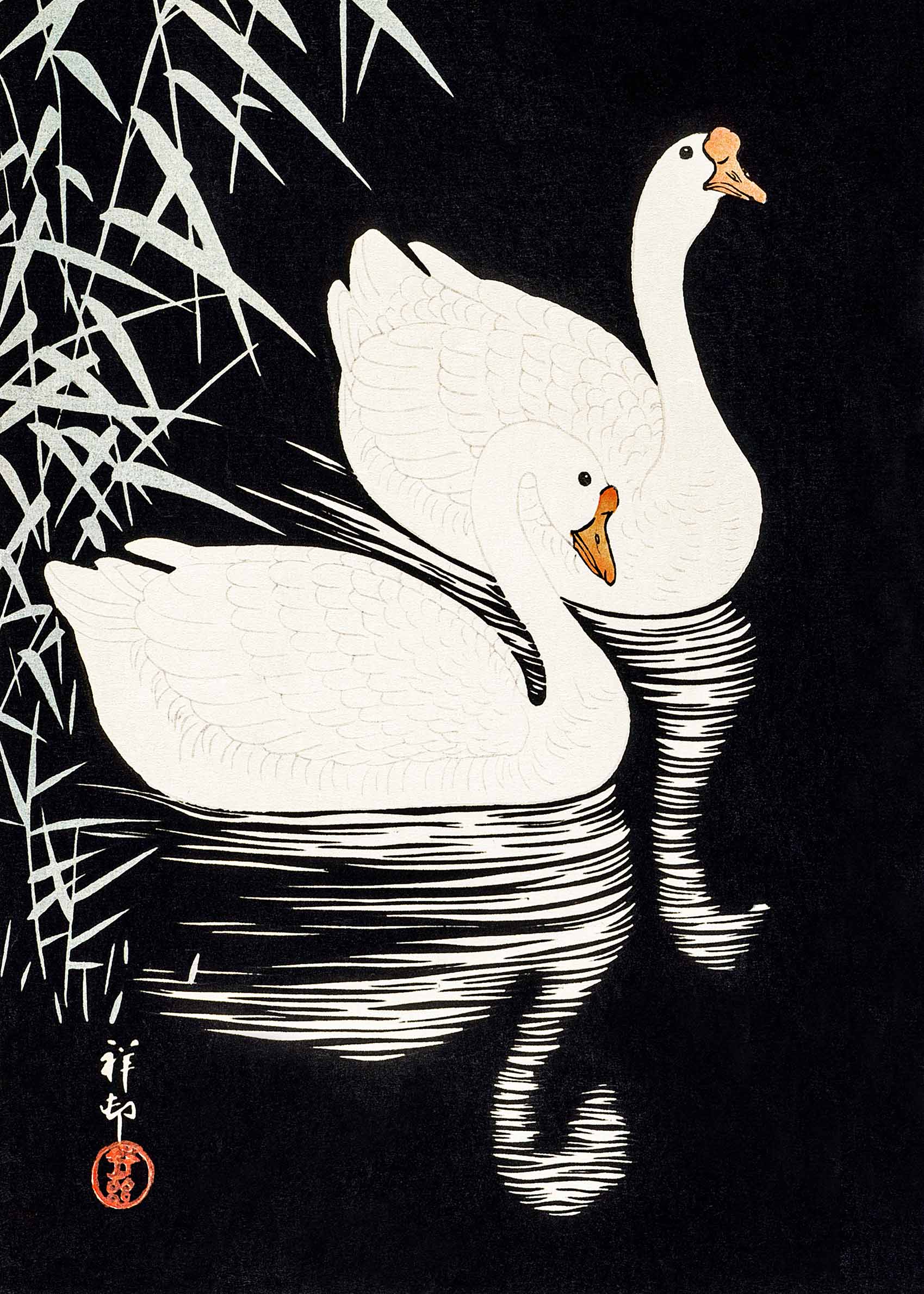 White Chinese Geese by Ohara Koson Poster - Tiergrafik (21x30 cm)
