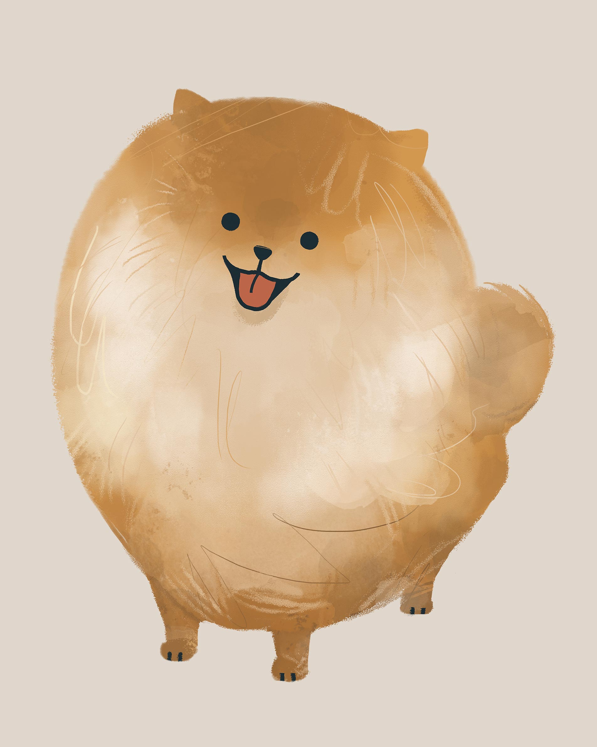 Fluffy Pomeranian Poster - Animal illustration (21x30 cm)