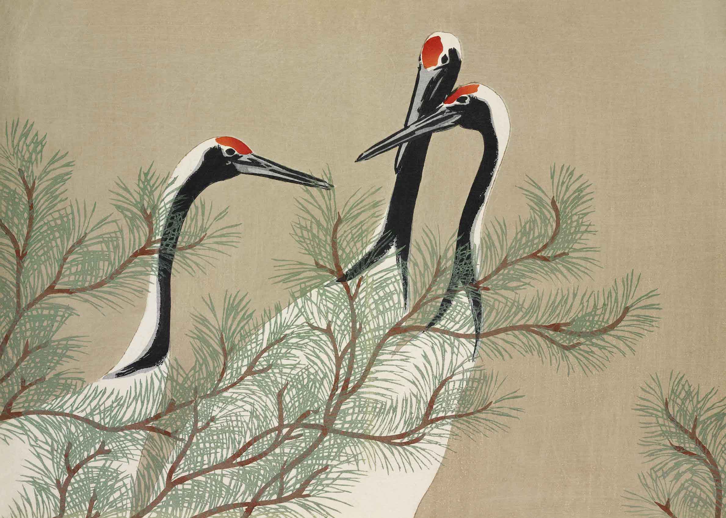 Cranes from Momoyogusa by Kamisaka Sekka Poster - Animal illustration (30x40 cm)