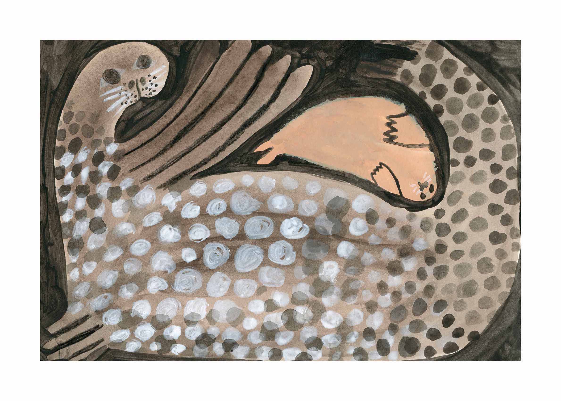 Seal Family Poster - Animal illustration (50x70 cm)