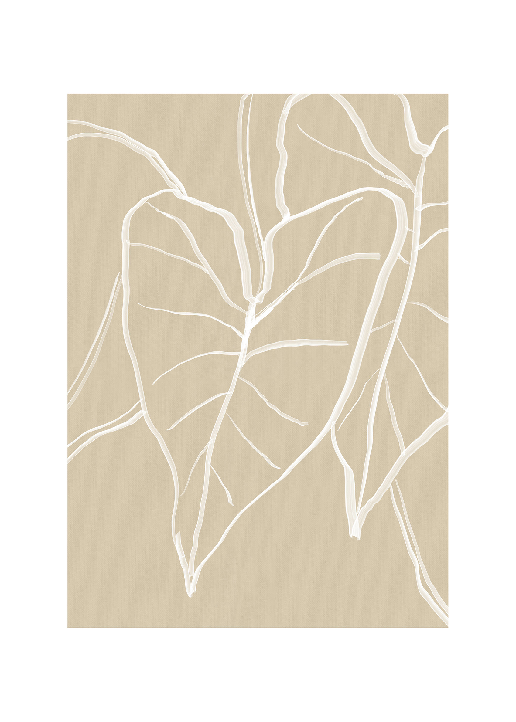 Alocasia Poster - Botanische line art (70x100 cm)