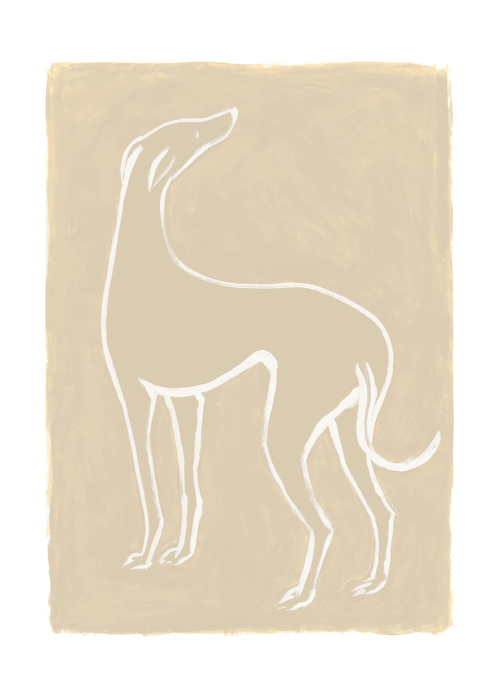 White Greyhound Poster - Animal illustration (30x40 cm)