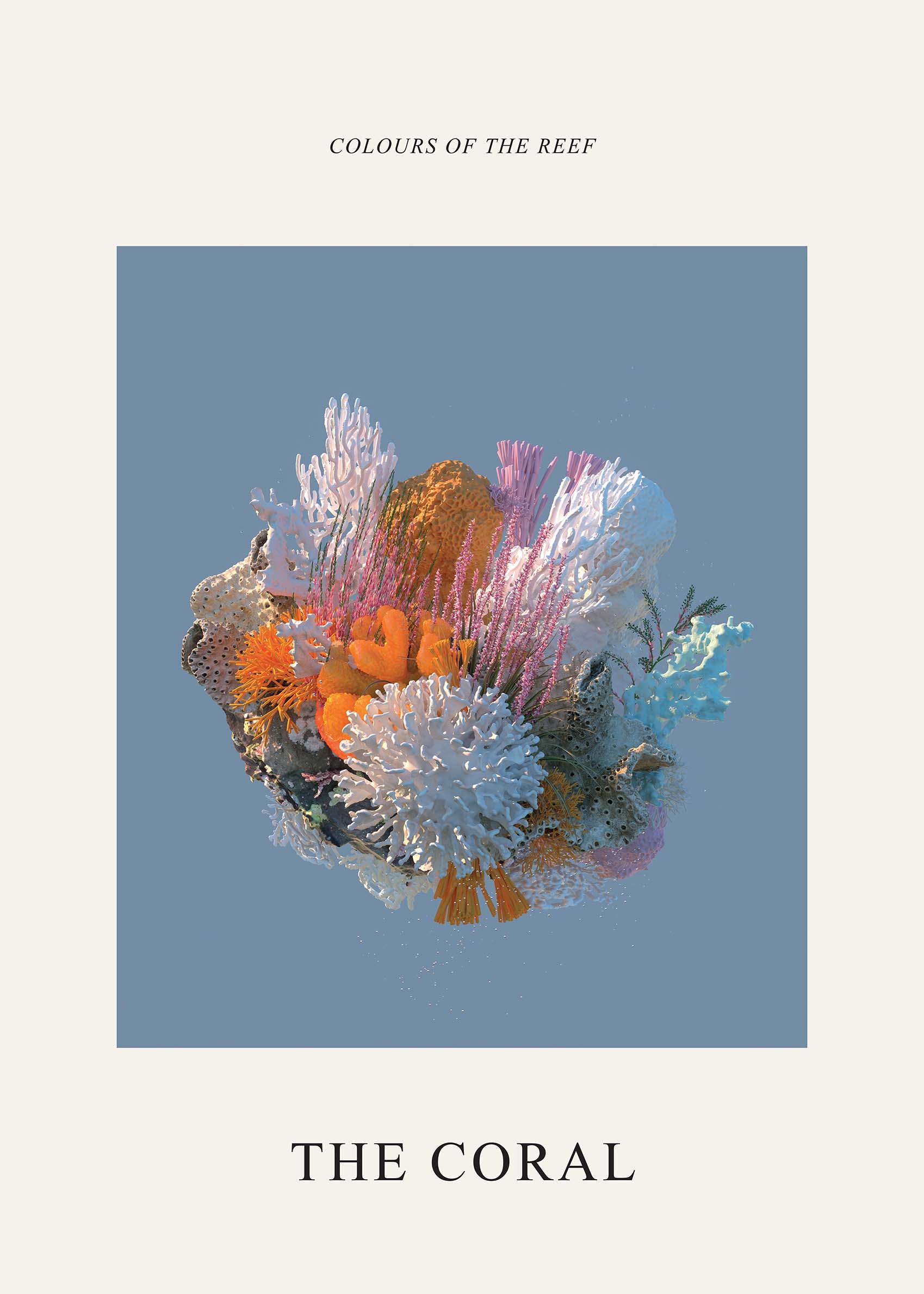 The Coral Poster - Korallenillustration (50x70 cm)