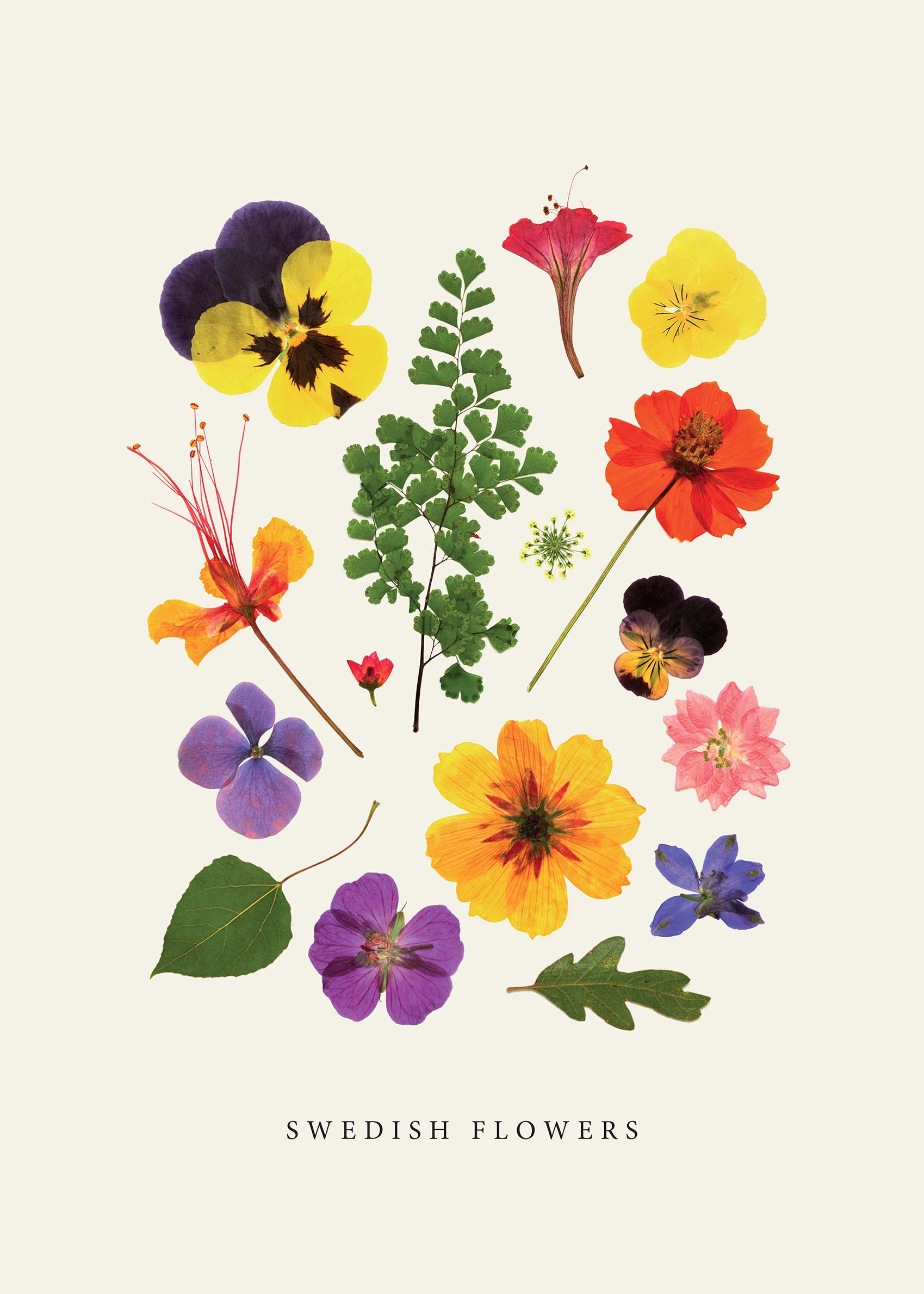 Summer Florals Poster - Botanical illustration (30x40 cm)