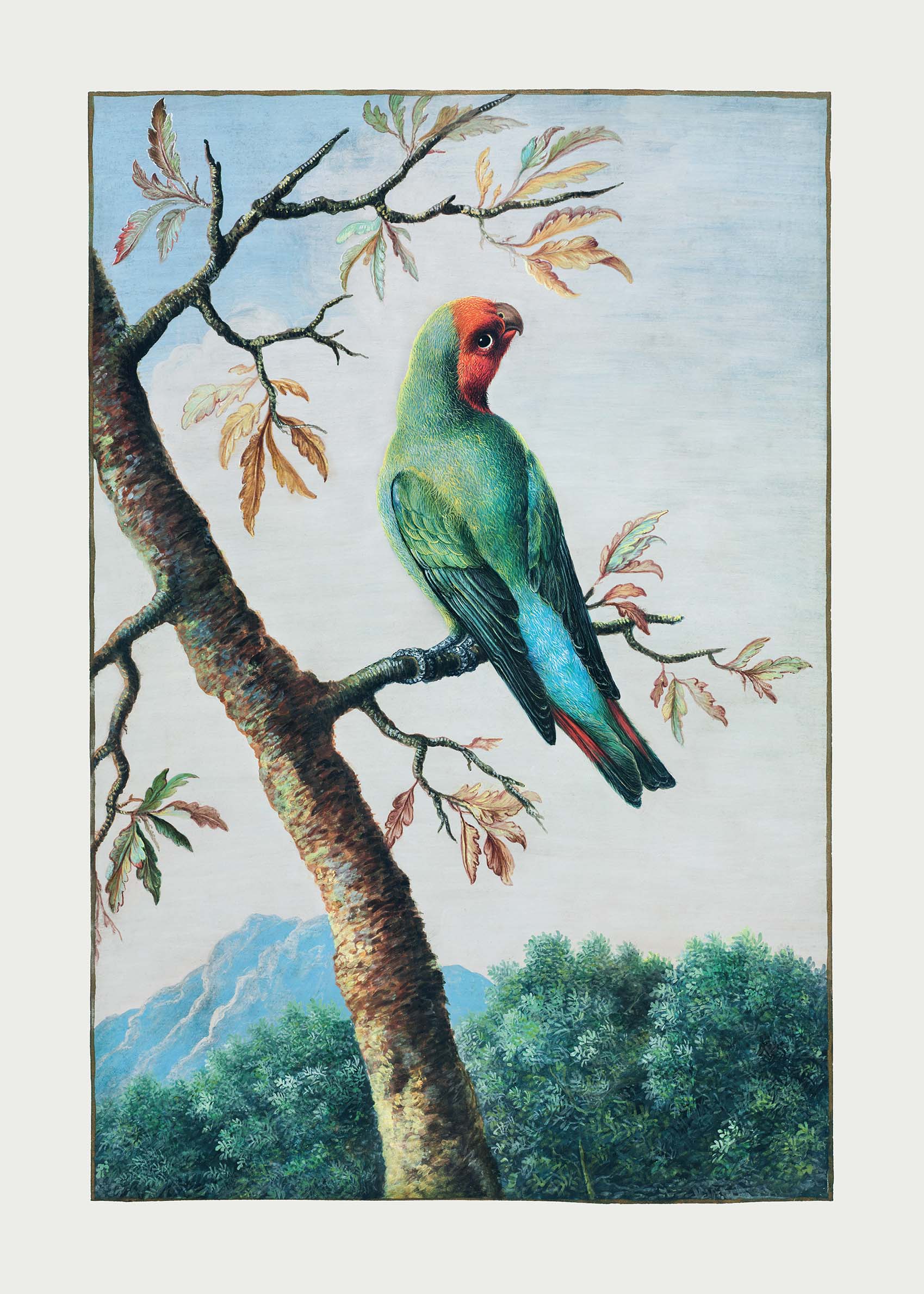 Parrot in the Jungle Poster - Tierillustration (30x40 cm)