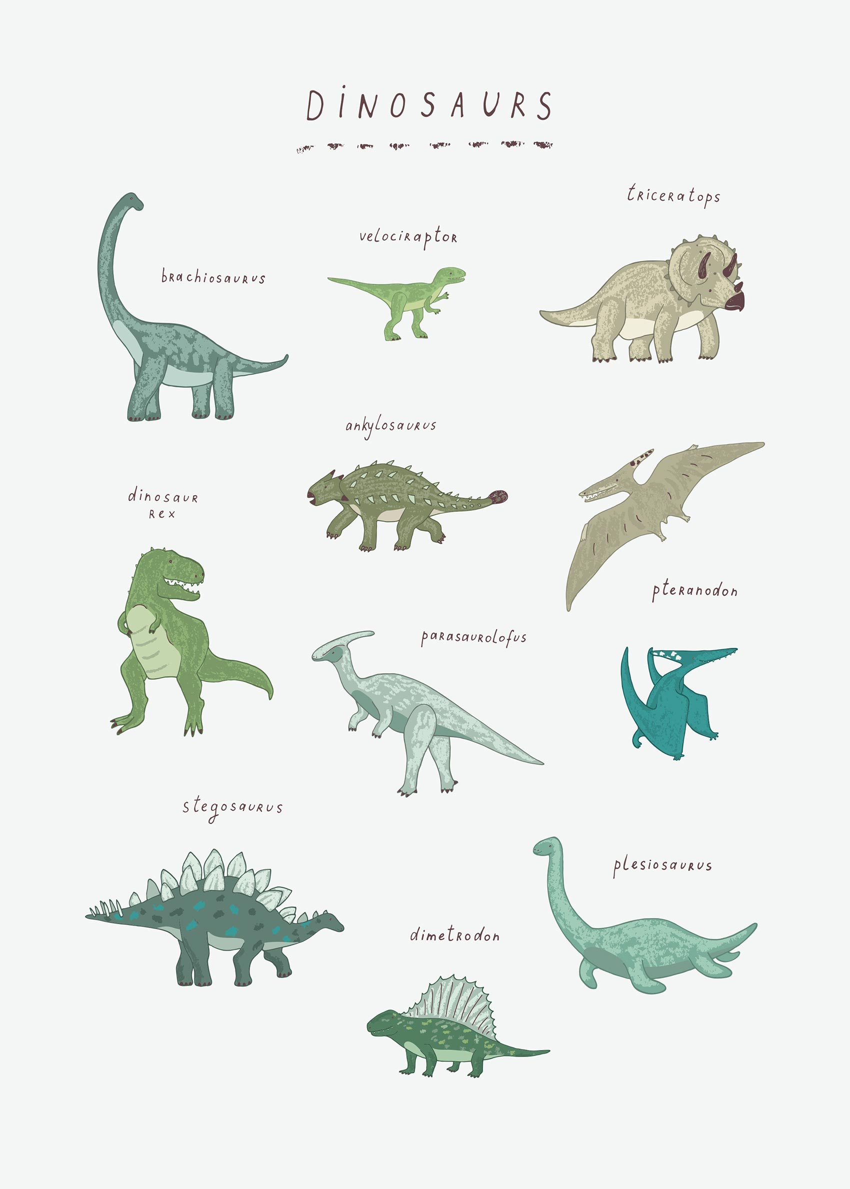 Dinosaur Species poster - Animal illustration (30x40 cm)