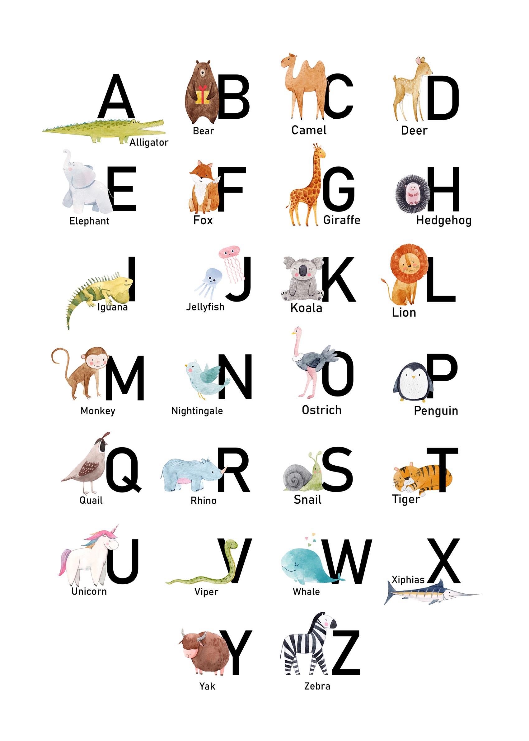 Animal ABC Poster - Animal illustration (30x40 cm)