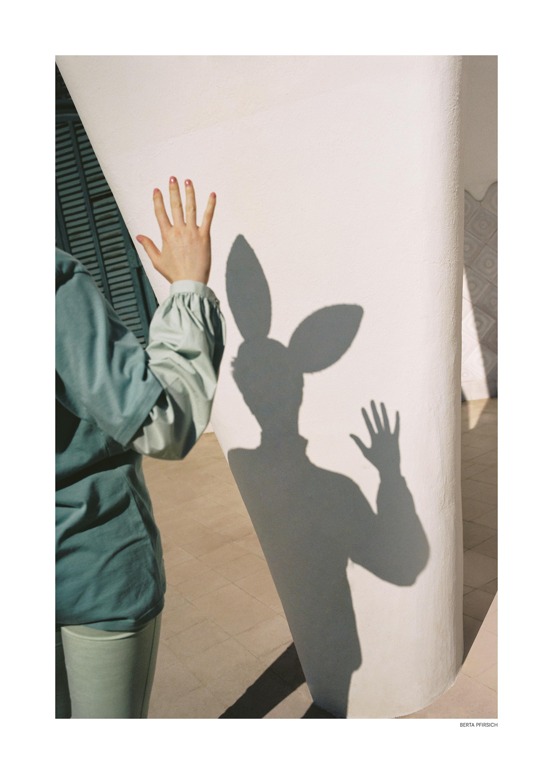 Rabbit Shadow Poster - Animal photography (50x70 cm)