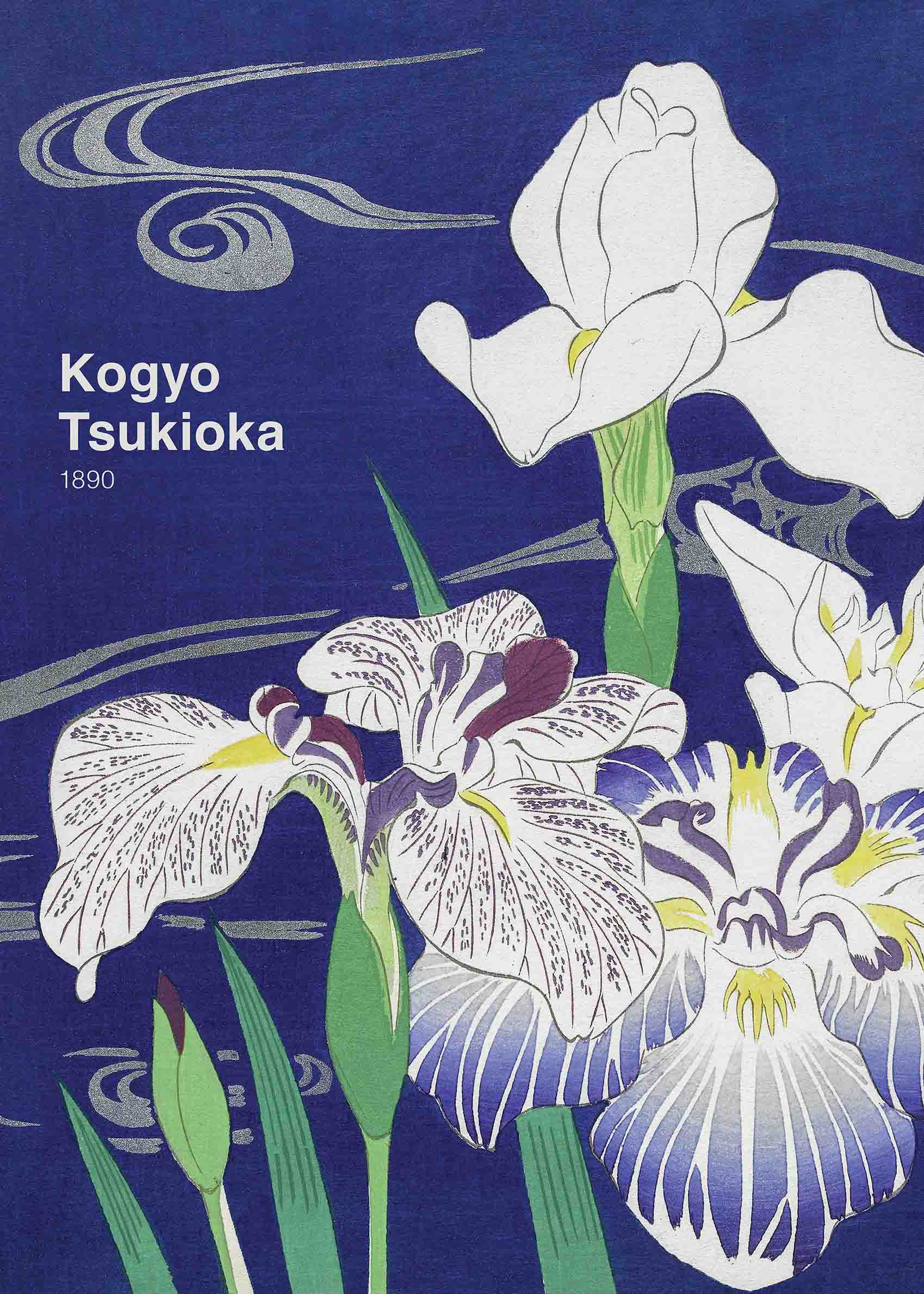 Irises by Kogyo Tsukioka Poster - Floral illustration (30x40 cm)