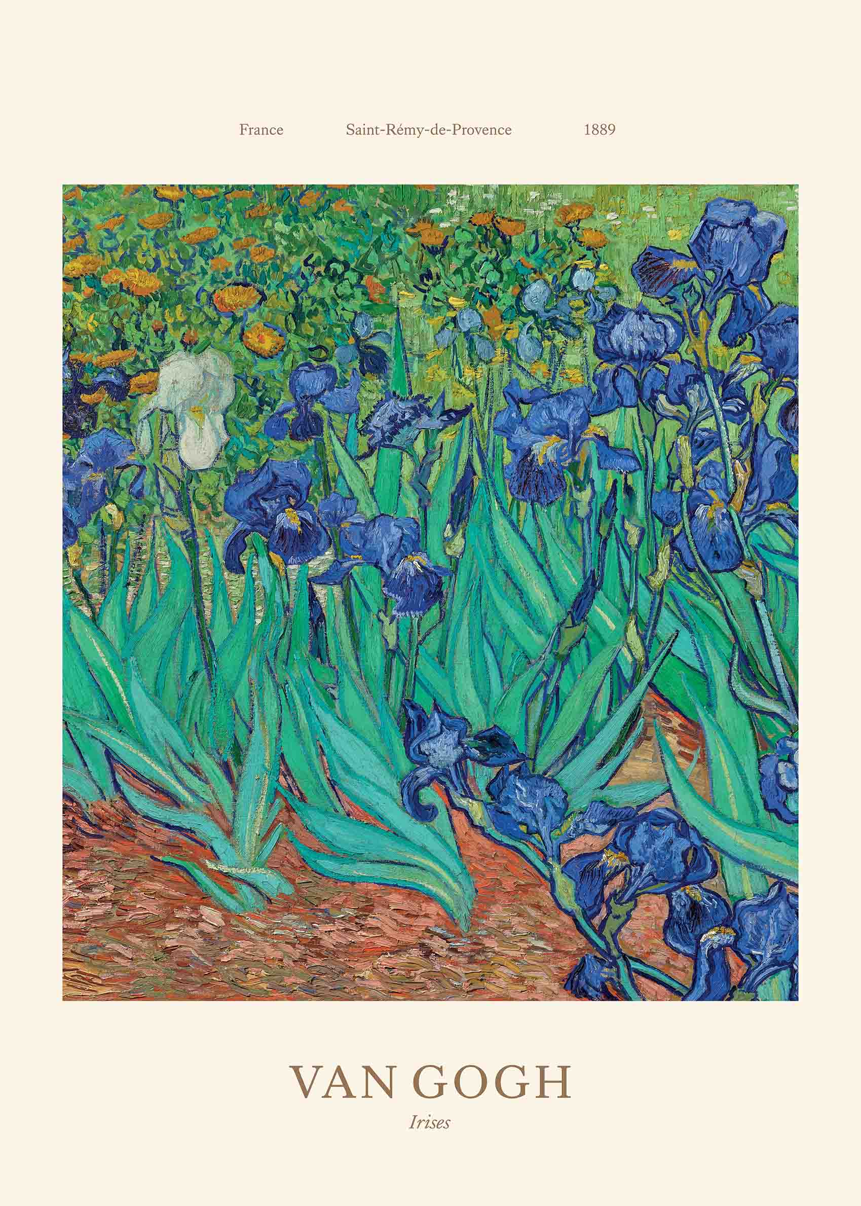 Irises by Vincent Van Gogh Poster - Flower painting (50x70 cm)