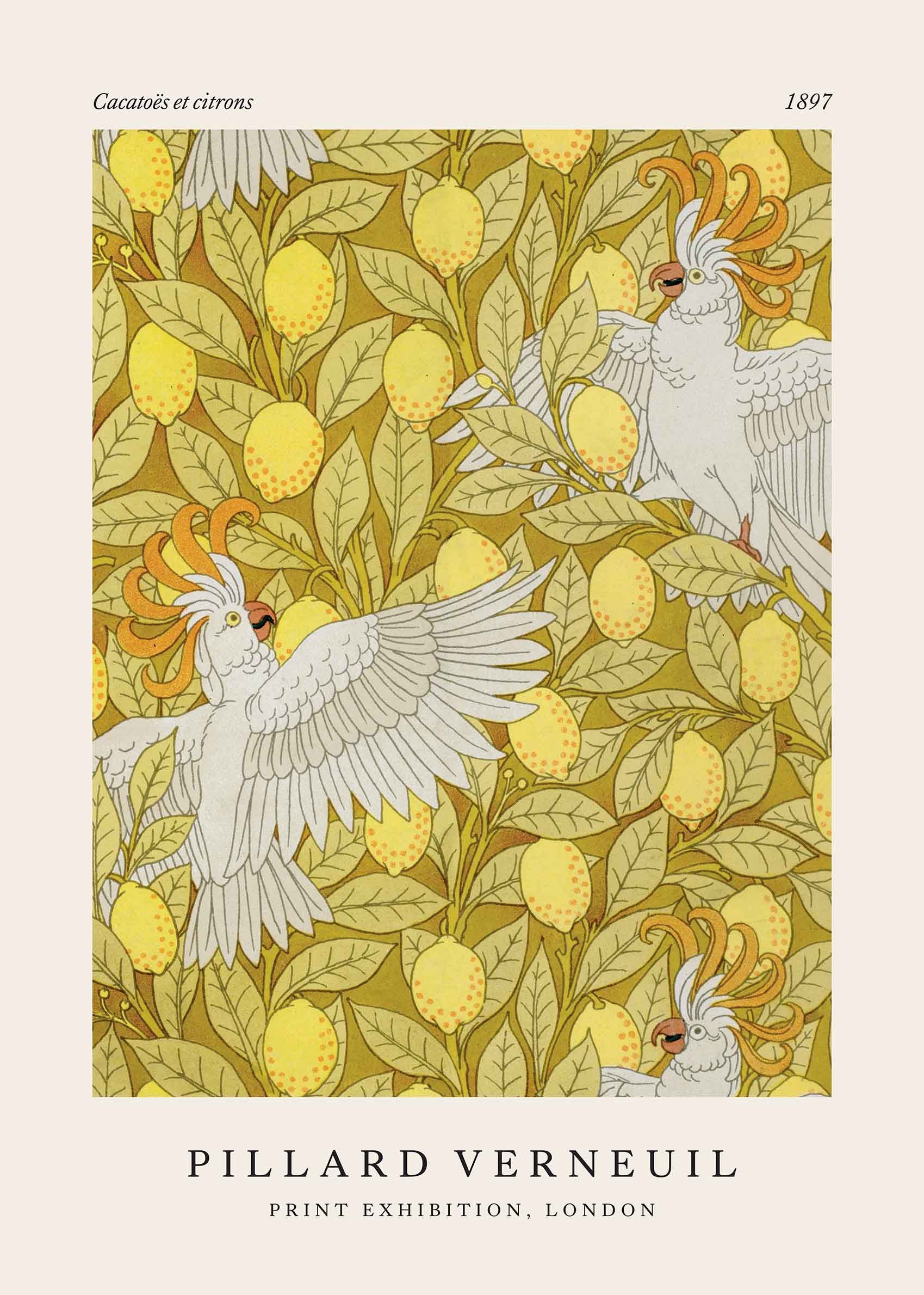 Cacatoes et Citrons poster - Animal illustration (50x70 cm)