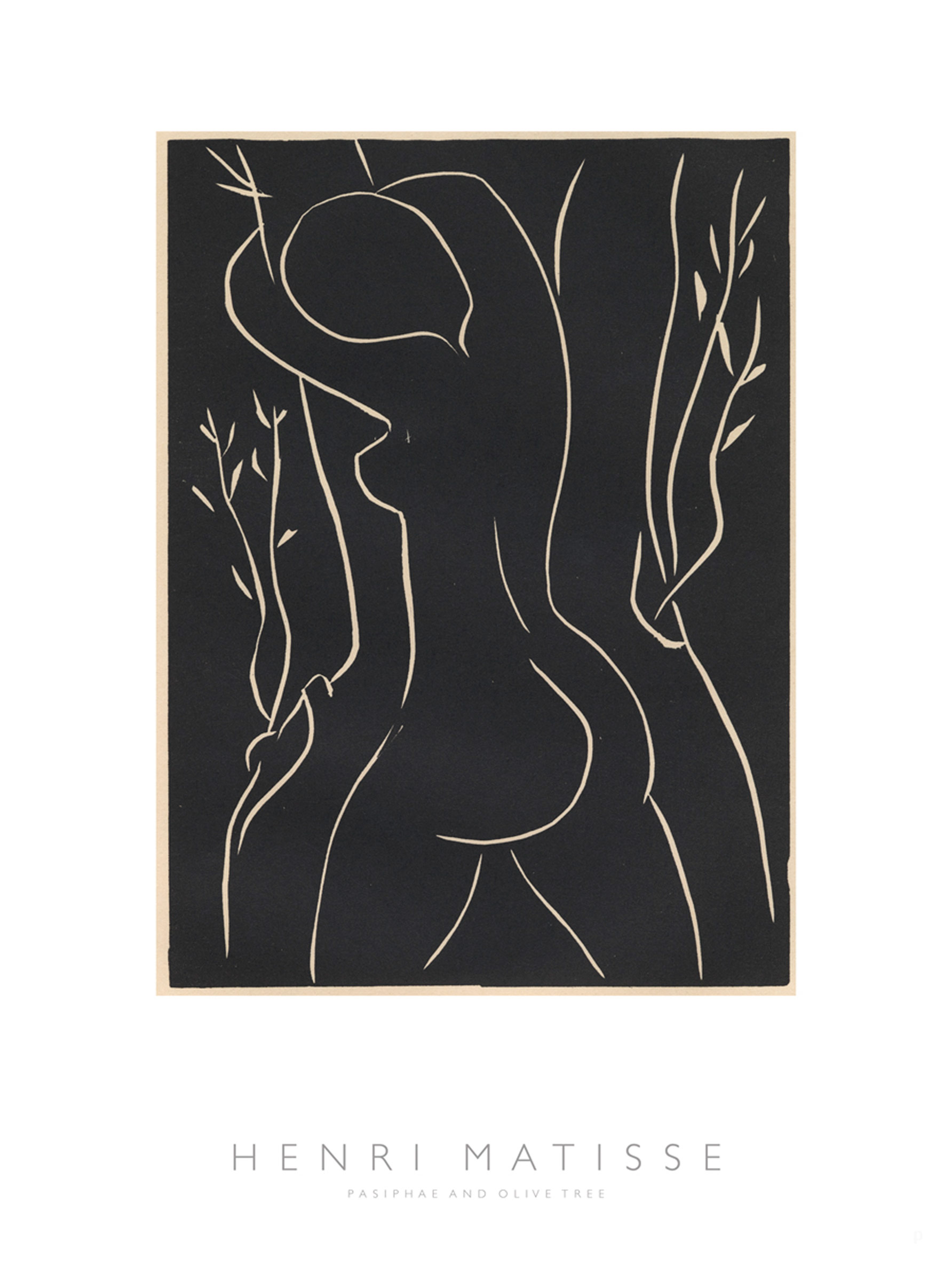 Pasiphae and Olive Tree by Henri Matisse Poster - Figuren Line Art (50x70 cm)
