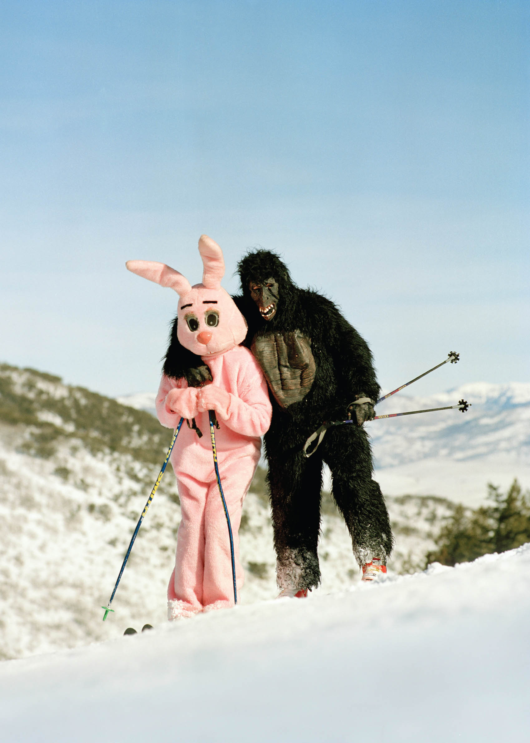Alpine Animals II Poster - Animal photography (50x70 cm)