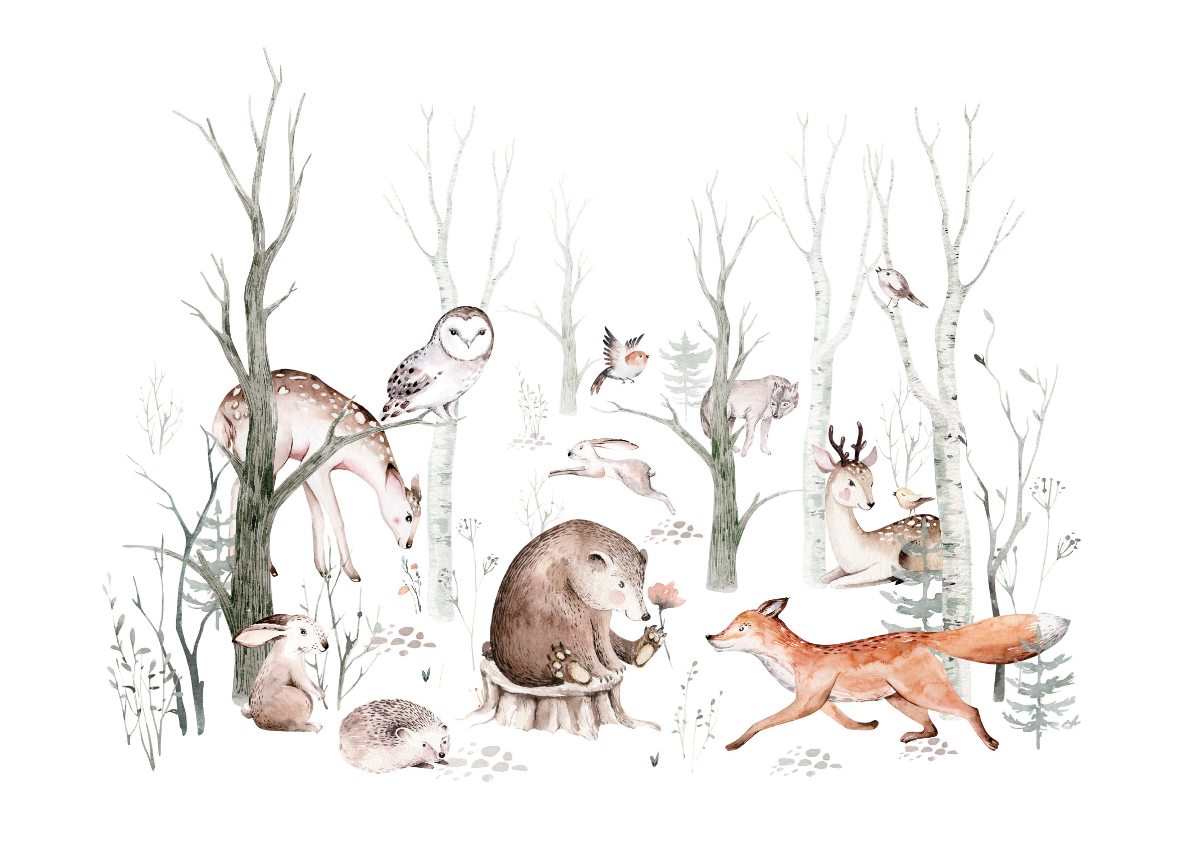 Forest Friends poster - Animal illustration (30x40 cm)