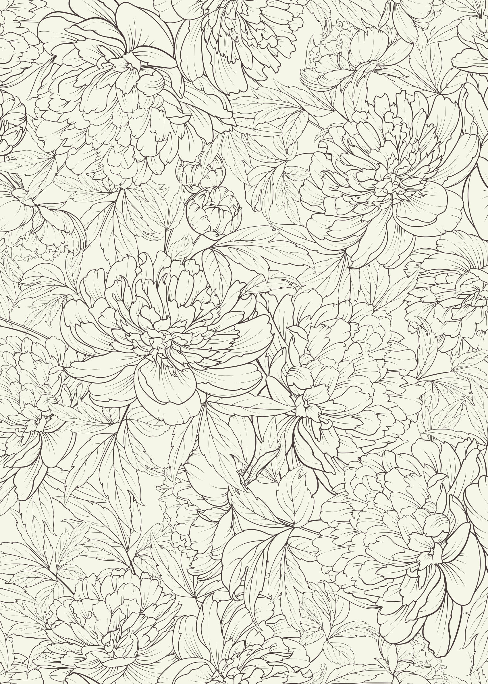 Peony Sketch Poster - Blumen line art (50x70 cm)