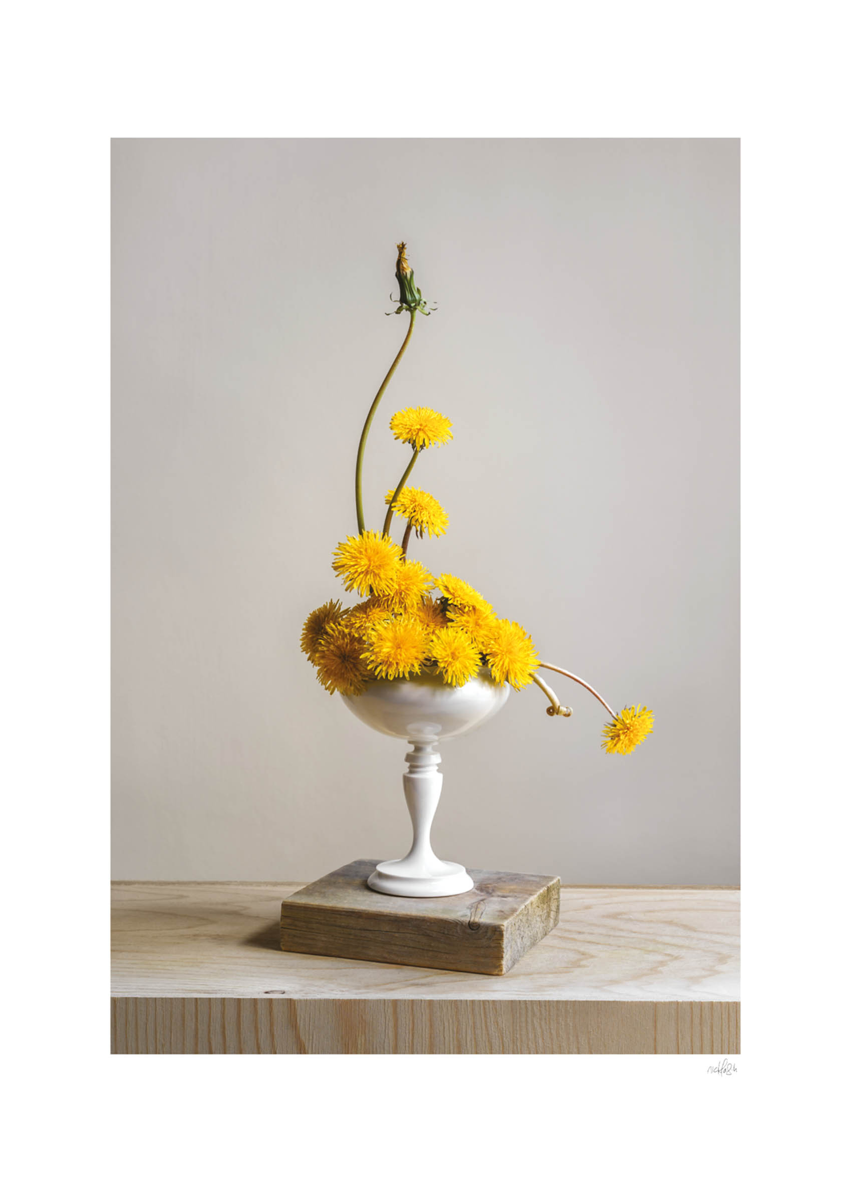 Flora No. 5 Poster - Floral illustration (50x70 cm)