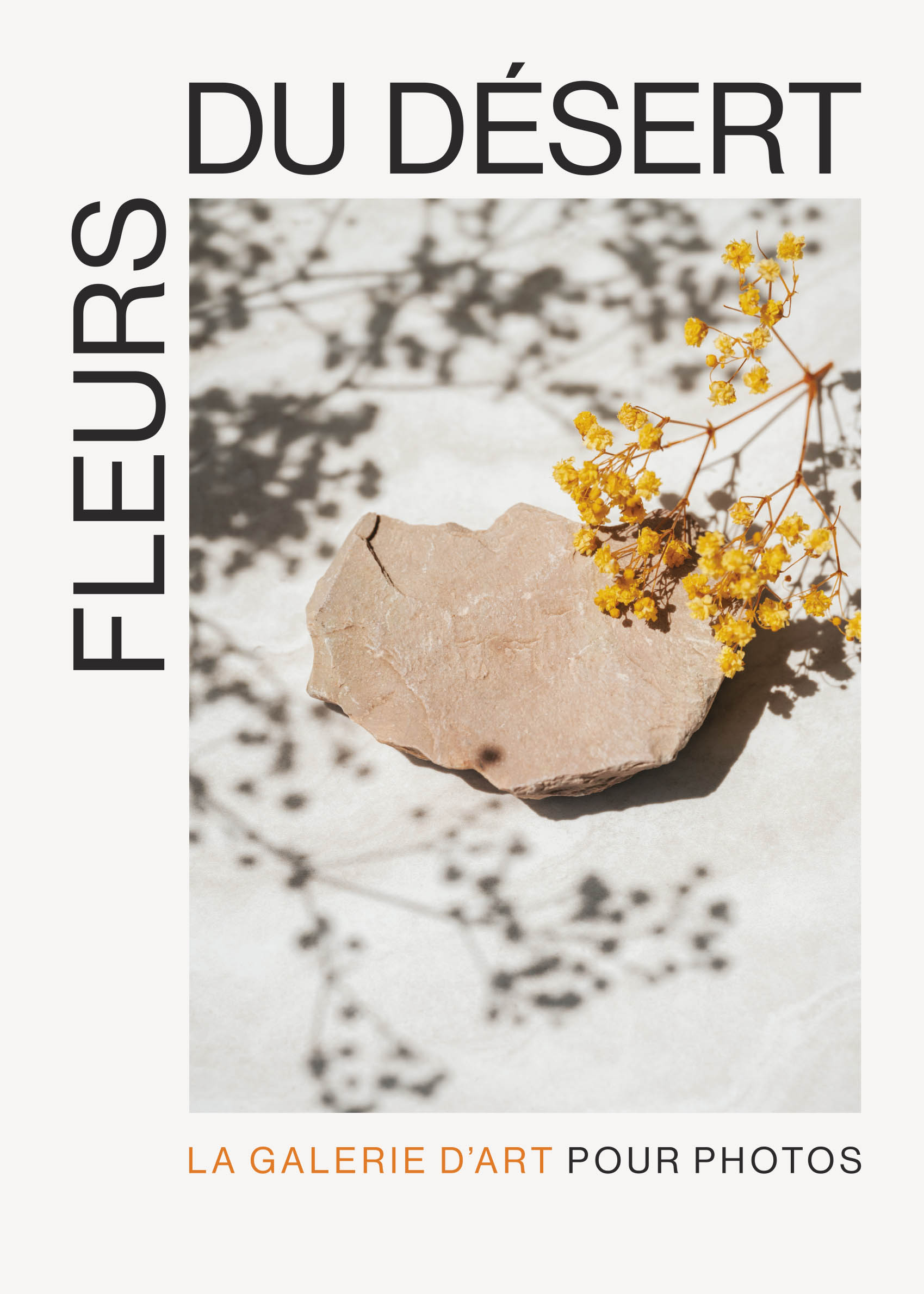 Fleurs du Desert plakat - Blomsterfotografi (50x70 cm)