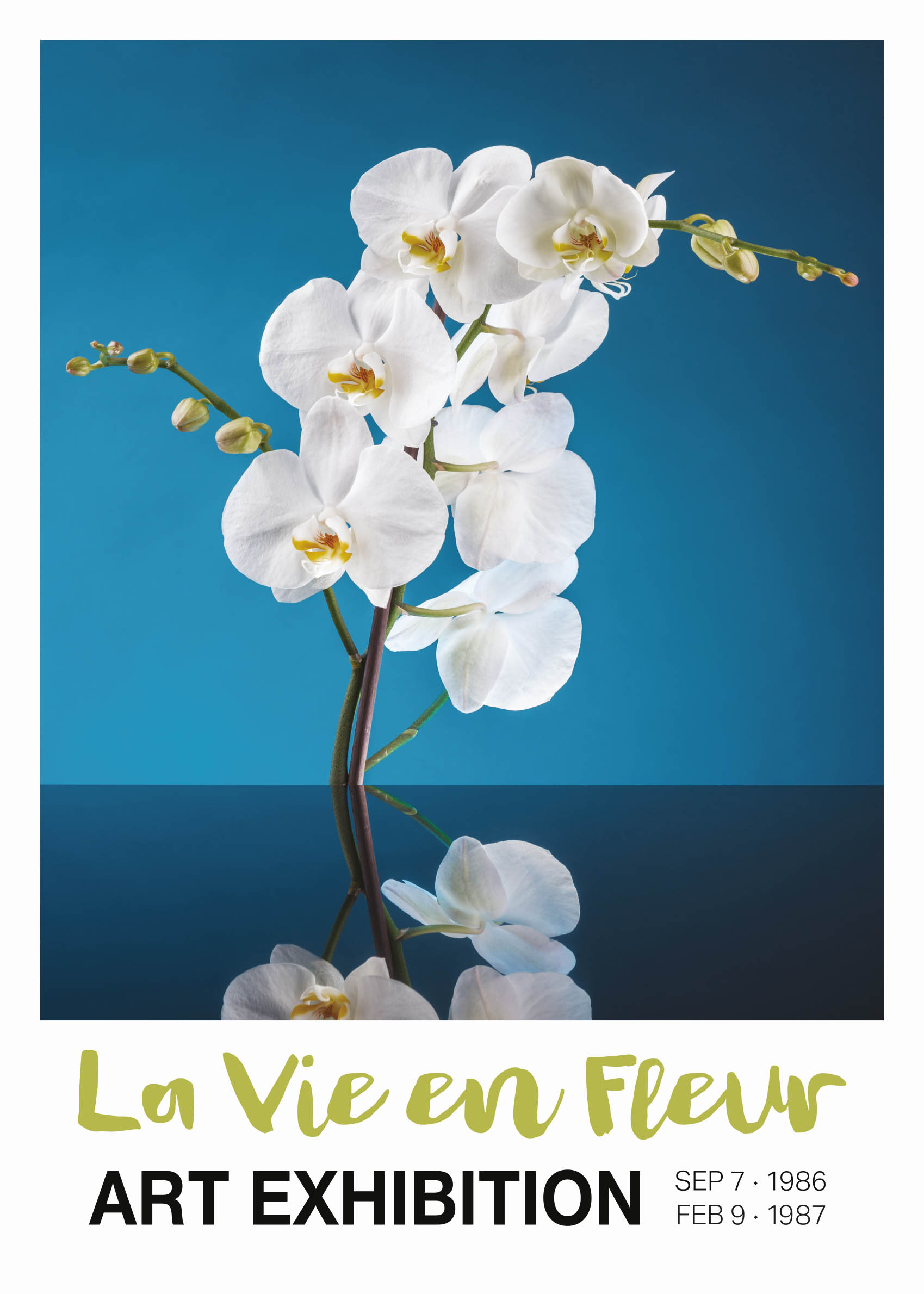 La Vie en Fleur Poster - Orchid photography (30x40 cm)