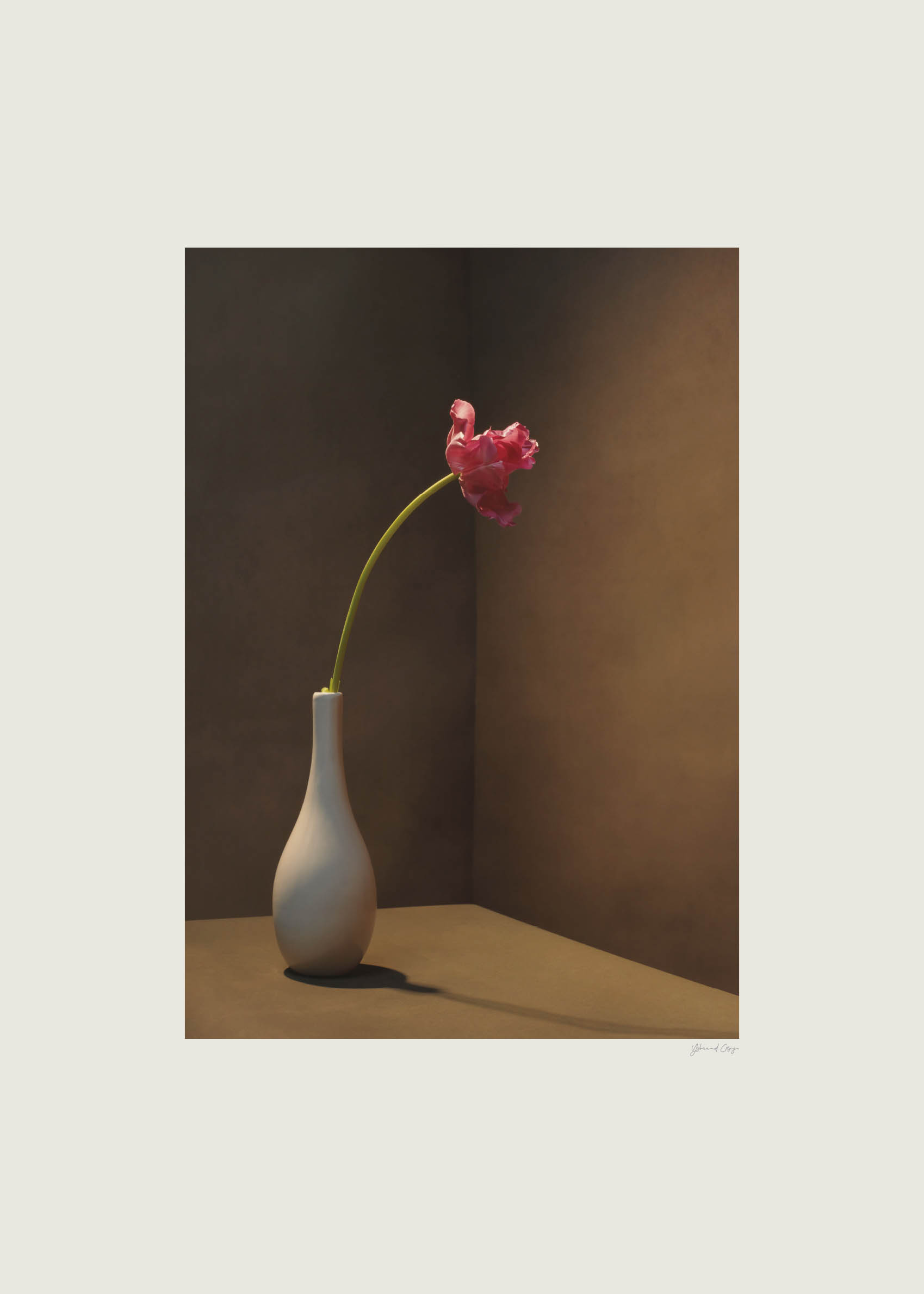 Pink Tulip Poster - Blumenillustration (40x50 cm)