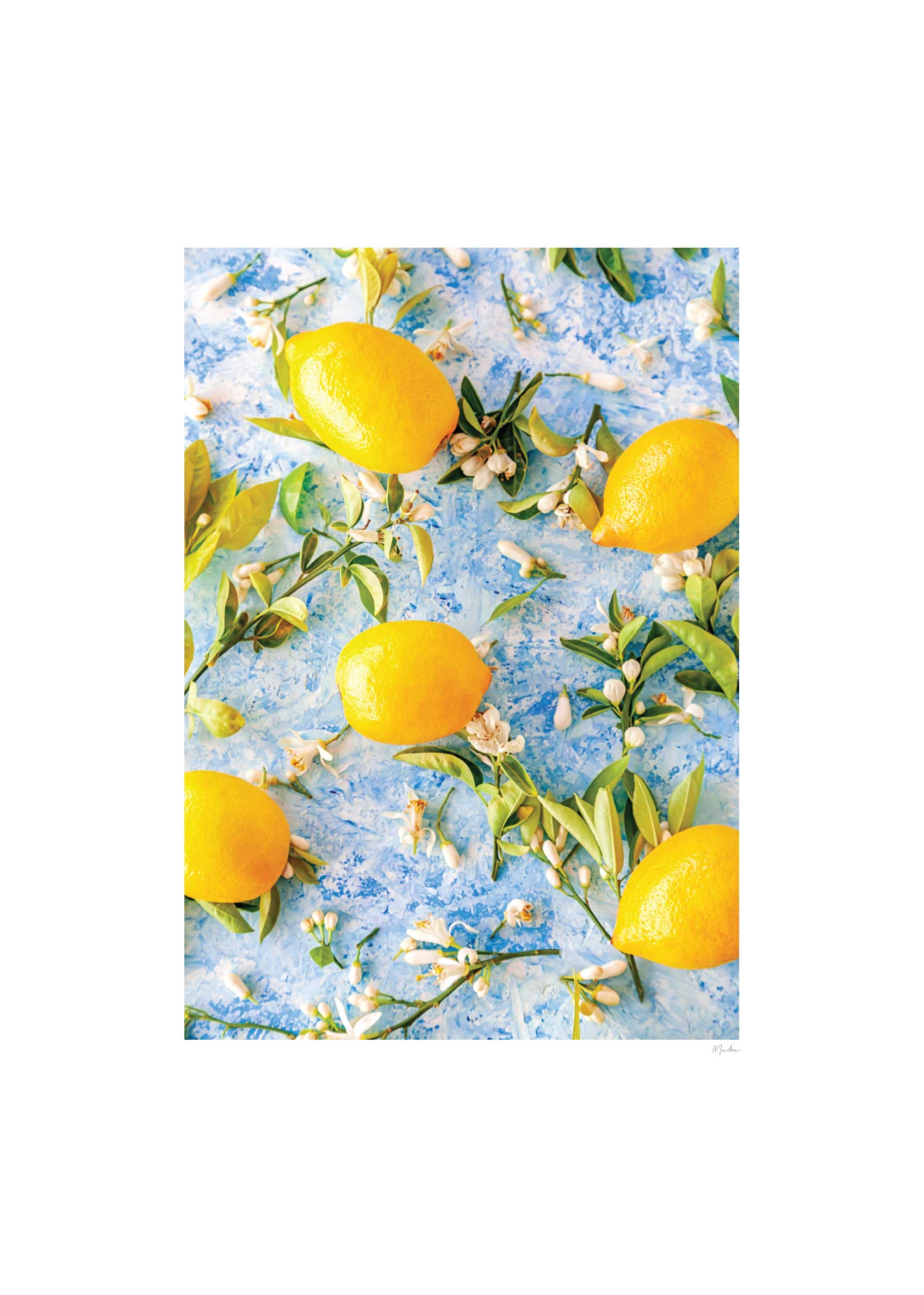 Lemon Blossom Poster - Lemon photography (30x40 cm)