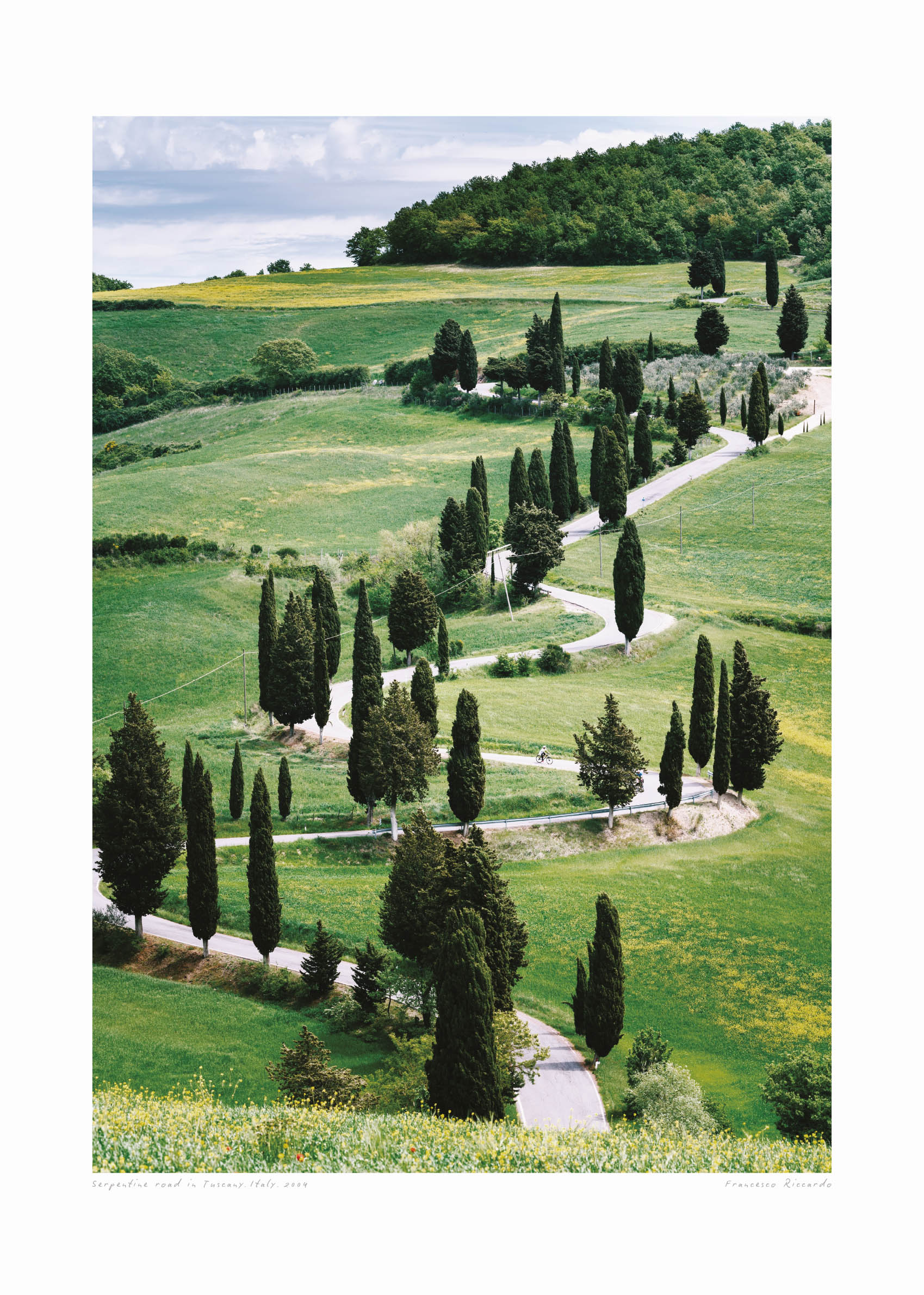 Serpentine Road in the Tuscany Poster - Landscape photography (50x70 cm)