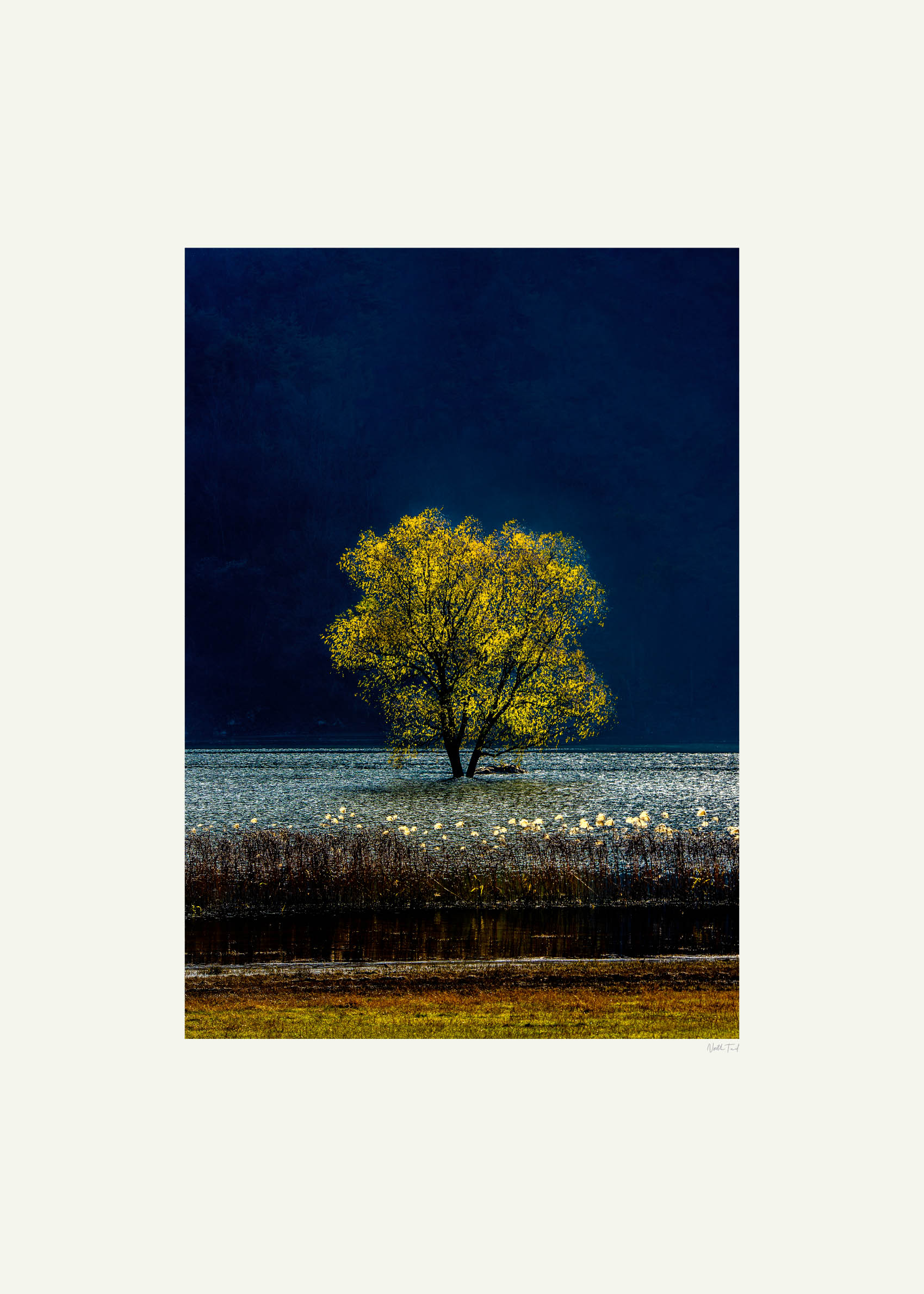 Golden Nightfall Poster - Nature photography (30x40 cm)