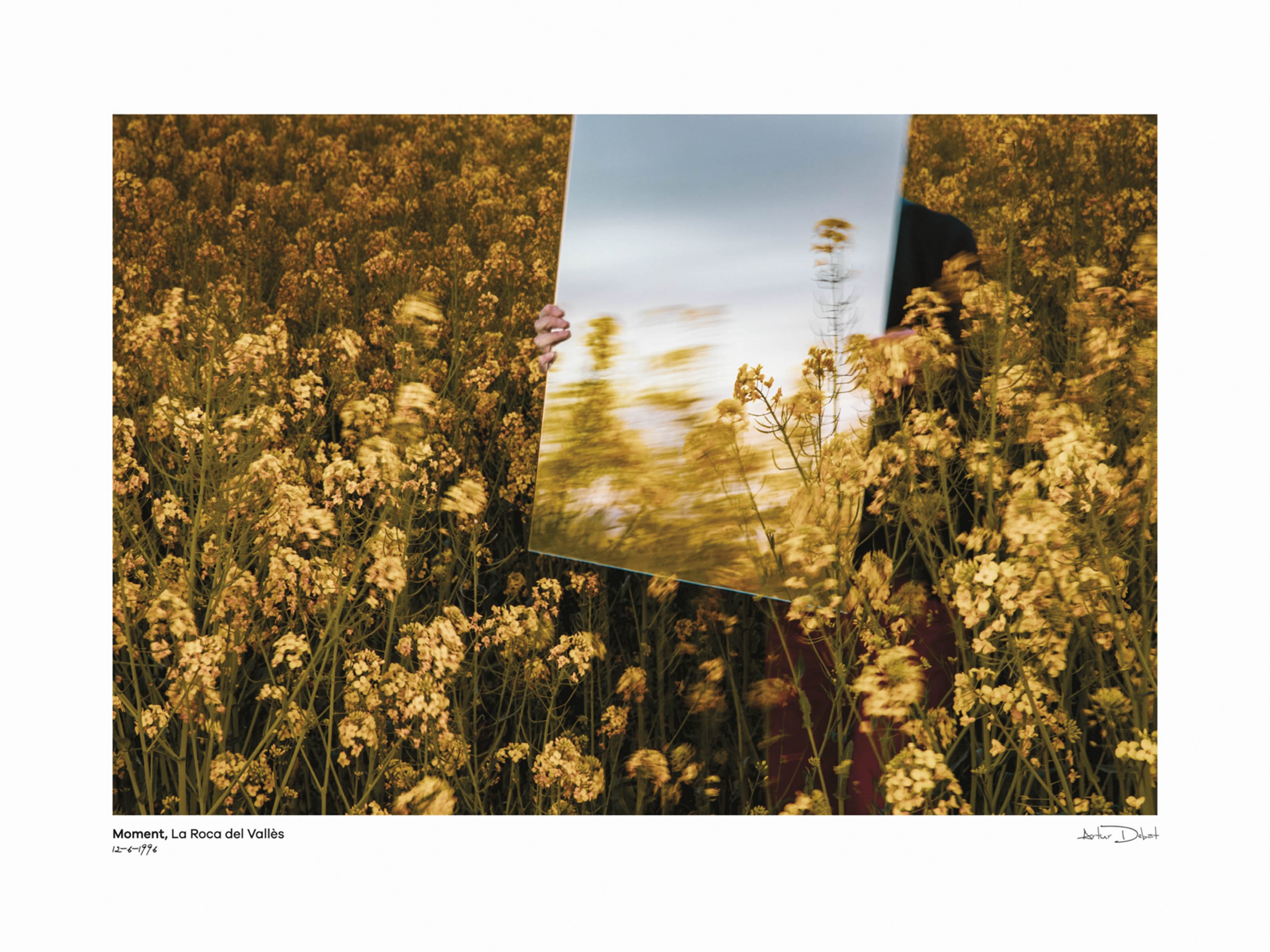 Captured in Bloom Poster - Nature photography (30x40 cm)