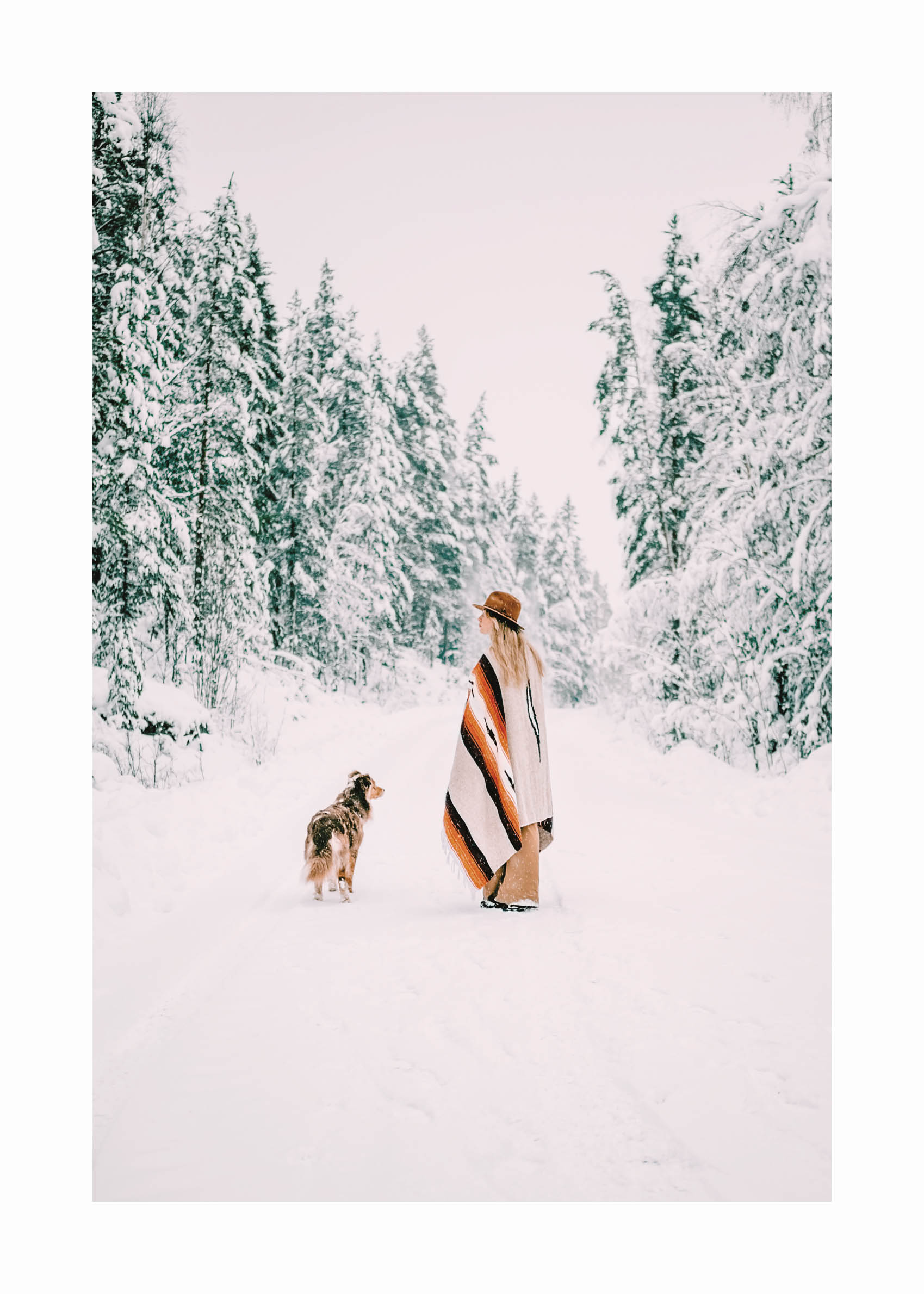Snowy Dog Walk Poster - Naturfotografie (30x40 cm)