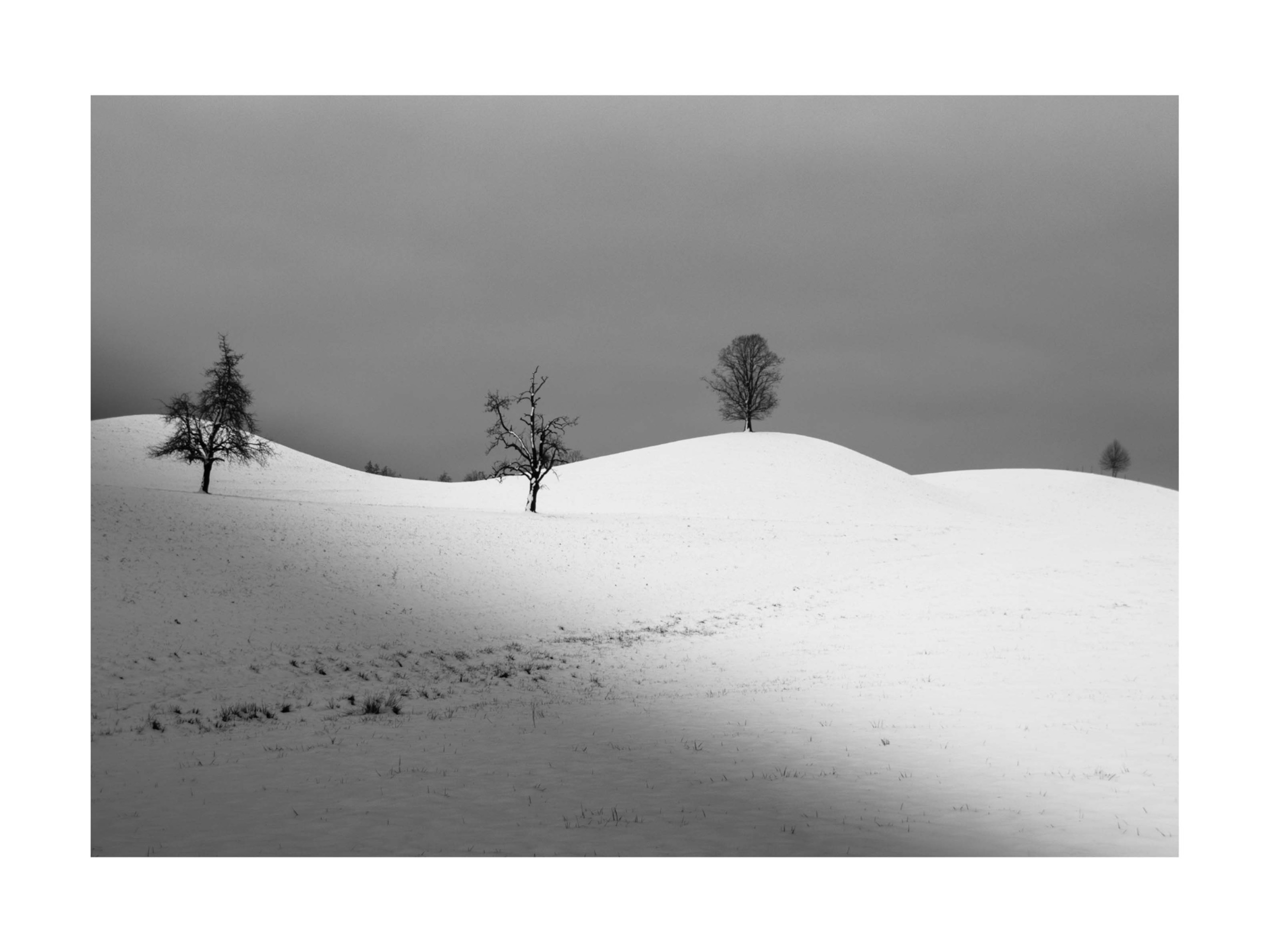 Alba I Poster - Black and white landscape photo (30x40 cm)