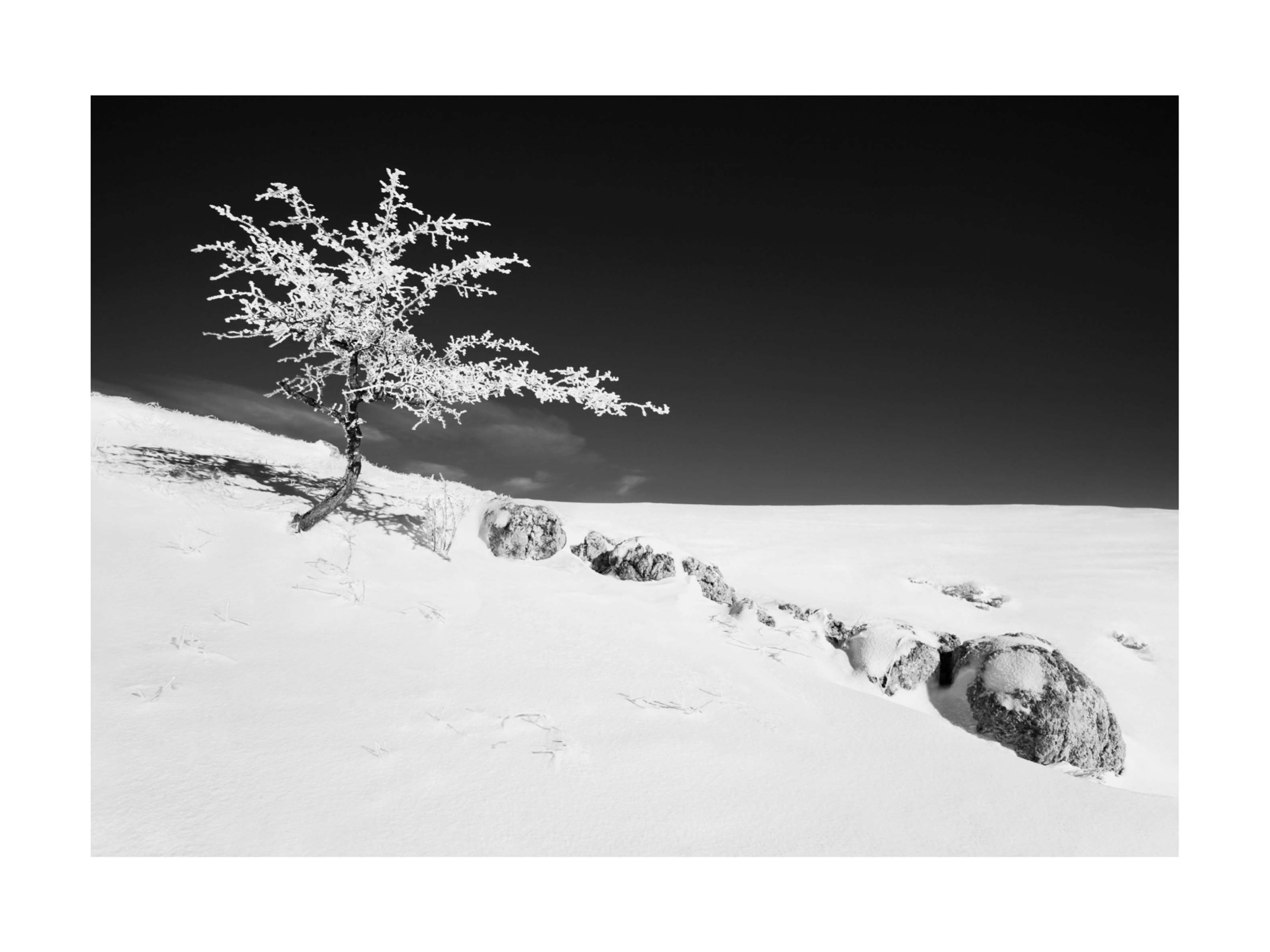 Alba II poster - Black and white landscape photography (30x40 cm)