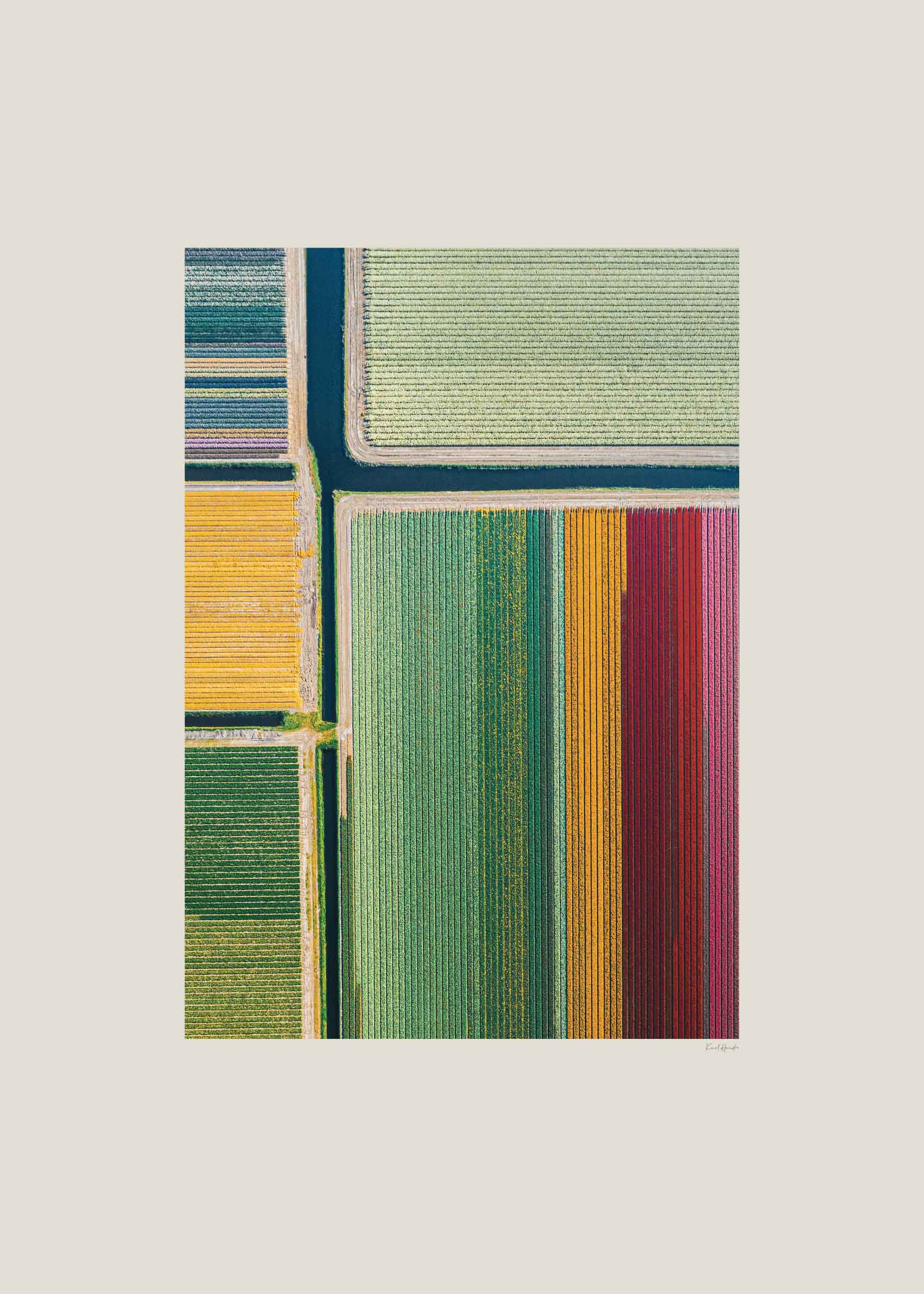 Painted Lands Poster - Landschaftsgrafik (30x40 cm)