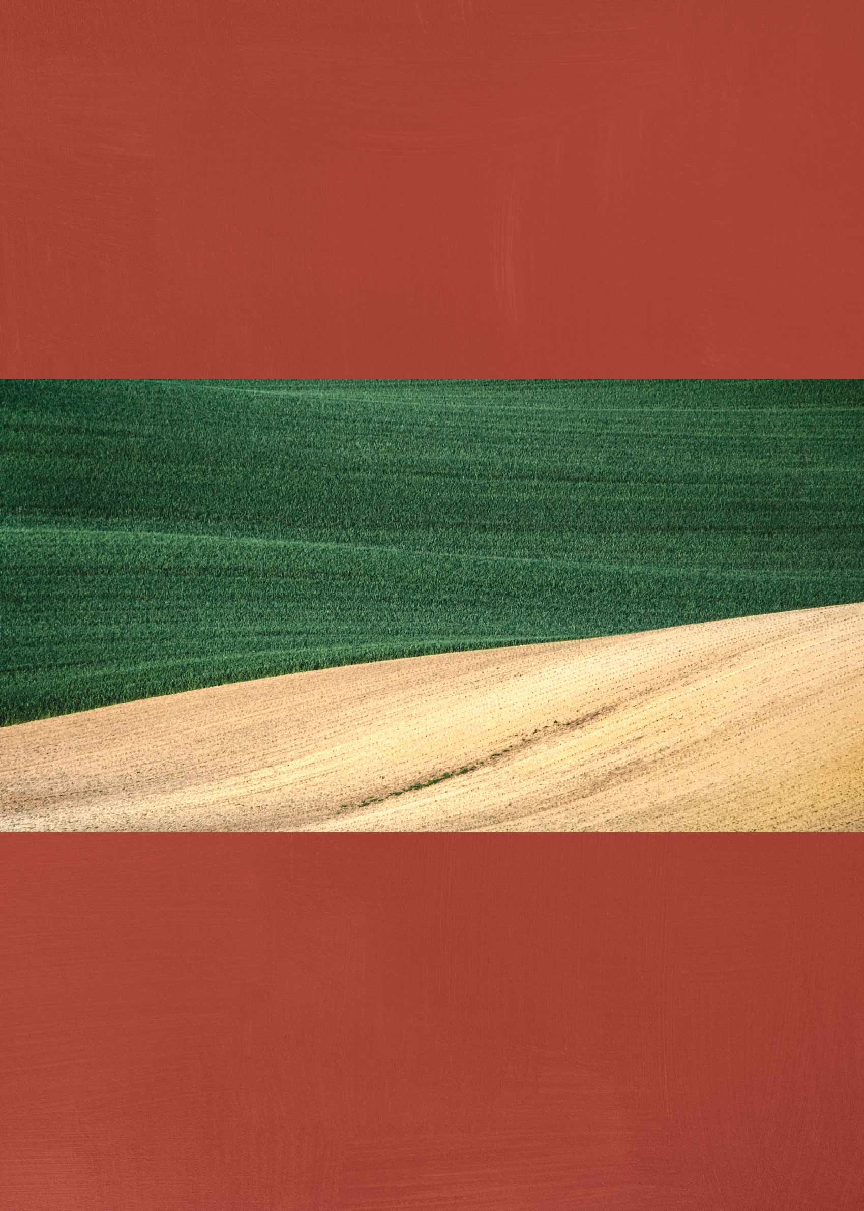 Rolling Ridges Poster - Abstract illustration (50x70 cm)