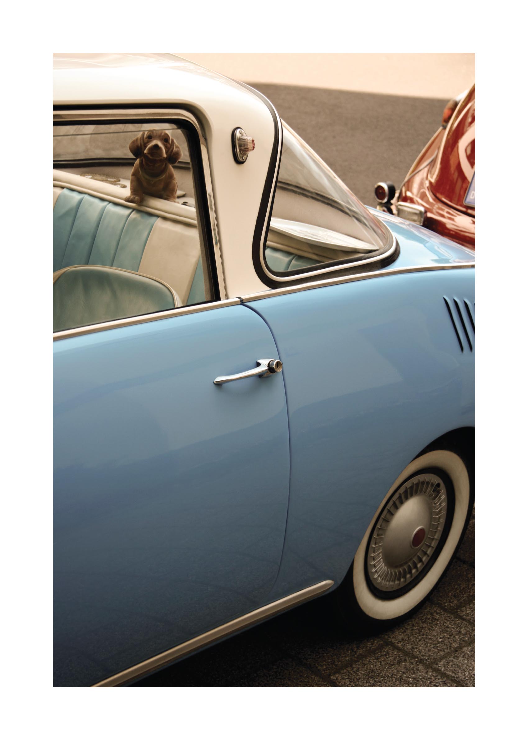 Ready to go Poster - Animal photography (50x70 cm)