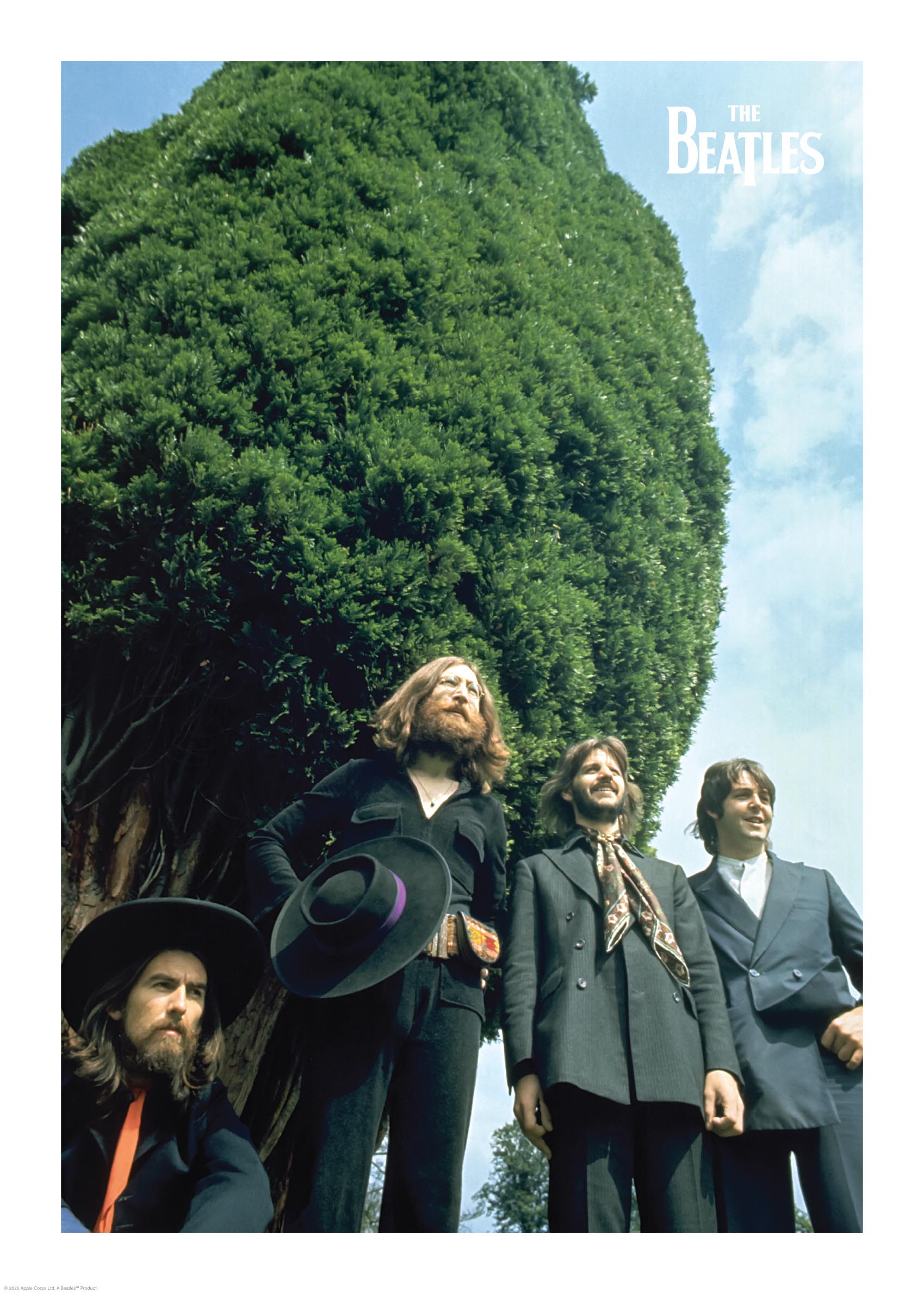The Beatles Tree Poster - Group portrait photography (30x40 cm)