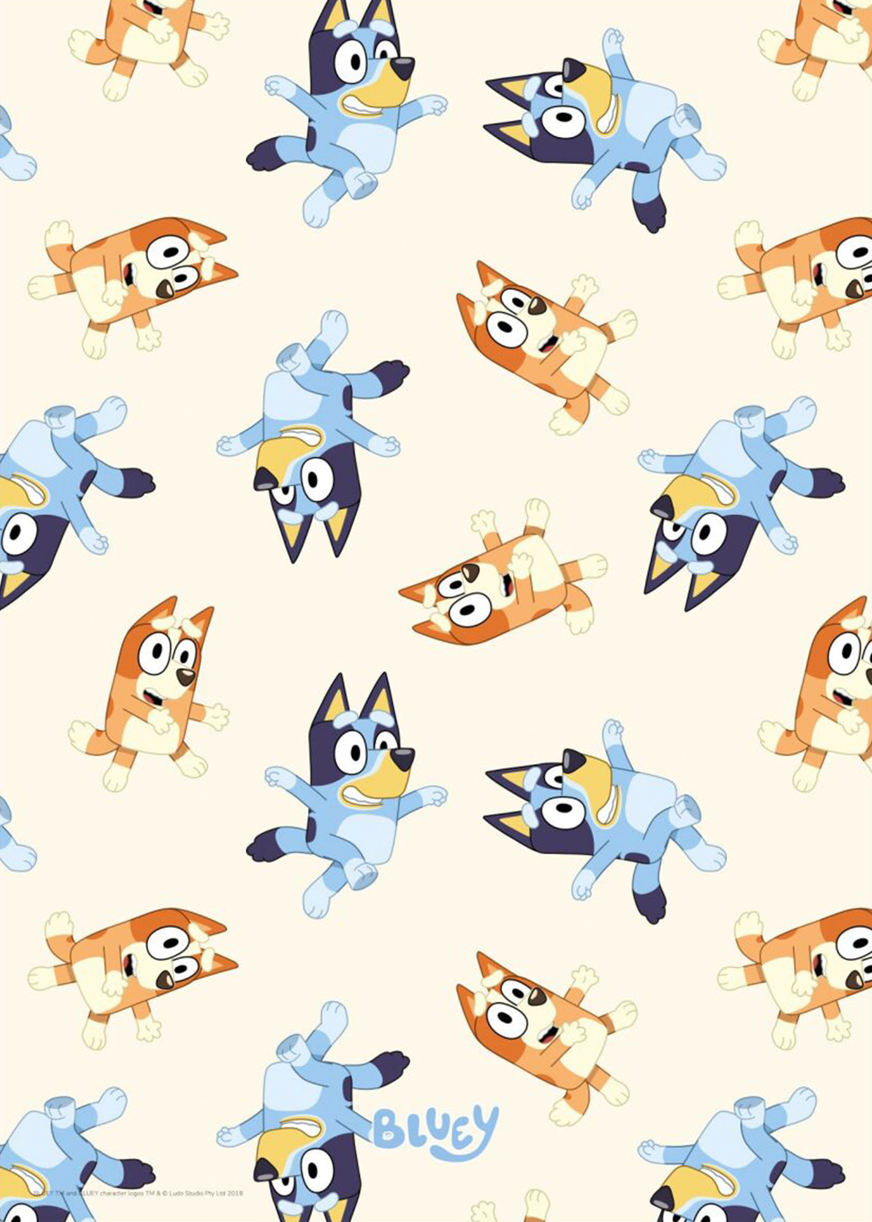 Bluey Bluey & Bingo Dance Move Pattern - Character illustration (30x40 cm)