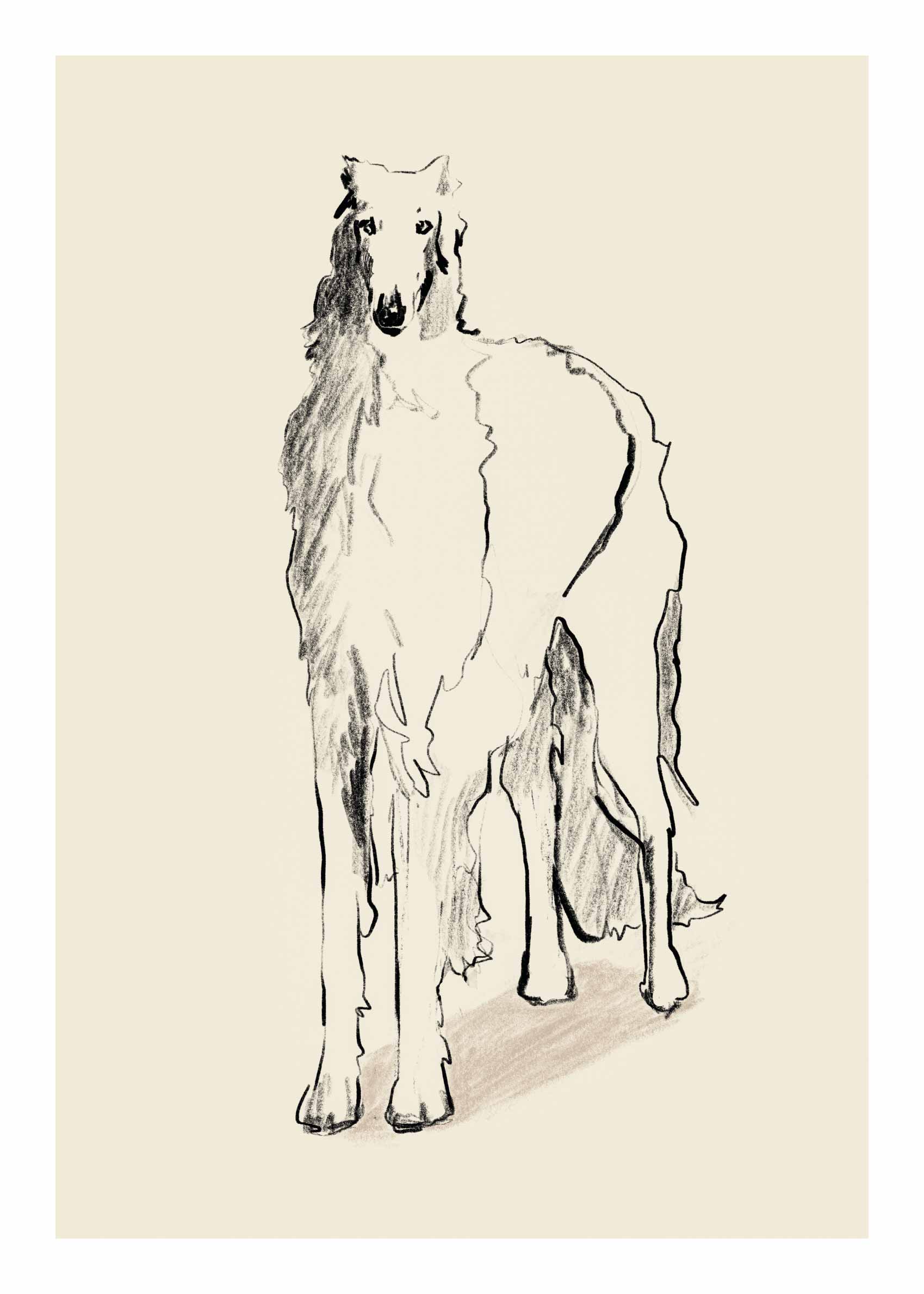 Russian Wolfhound Poster - Barsoi als Kohleskizze (30x40 cm)