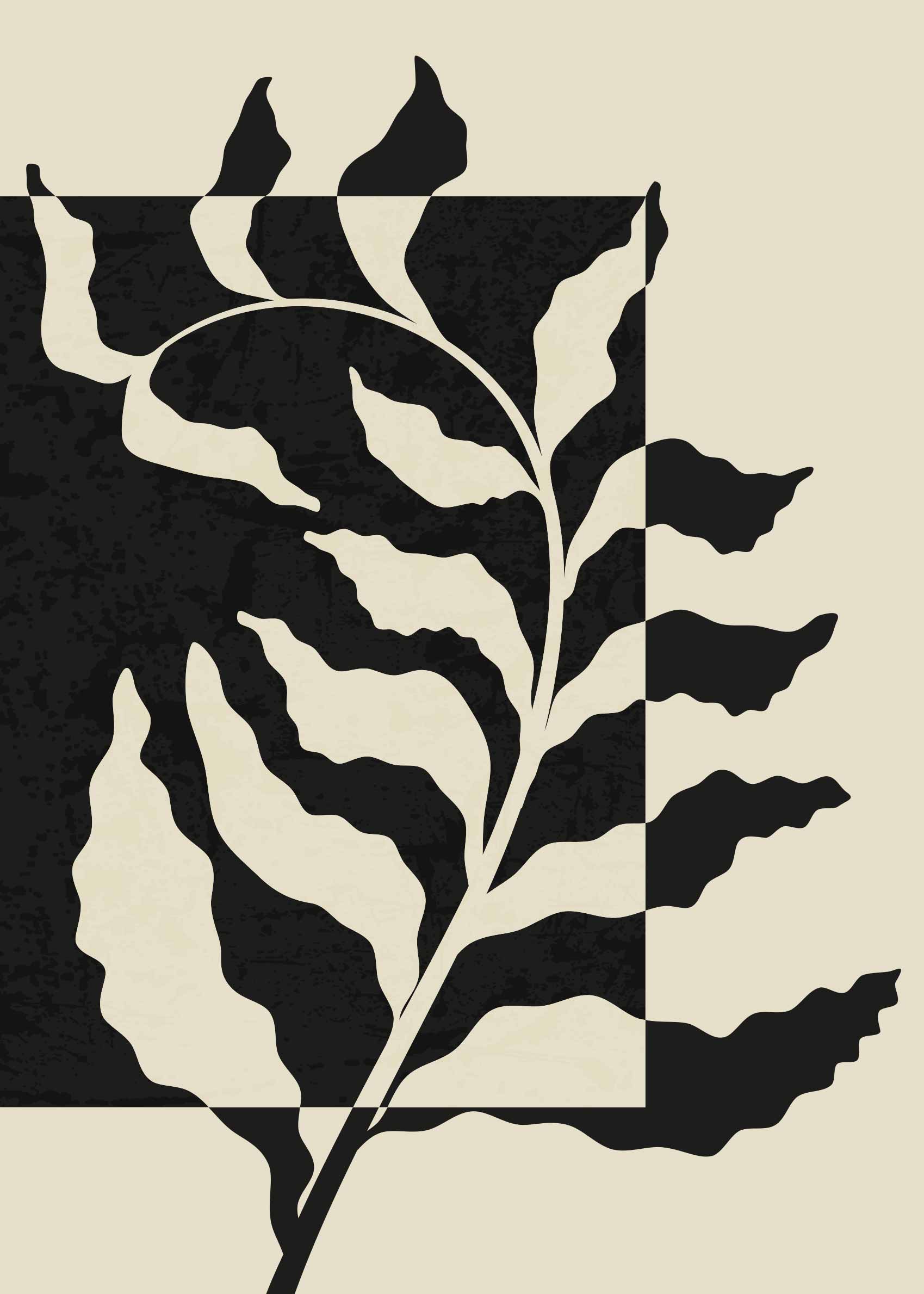 Black Frond Plakat - Botanisk illustration (30x40 cm)