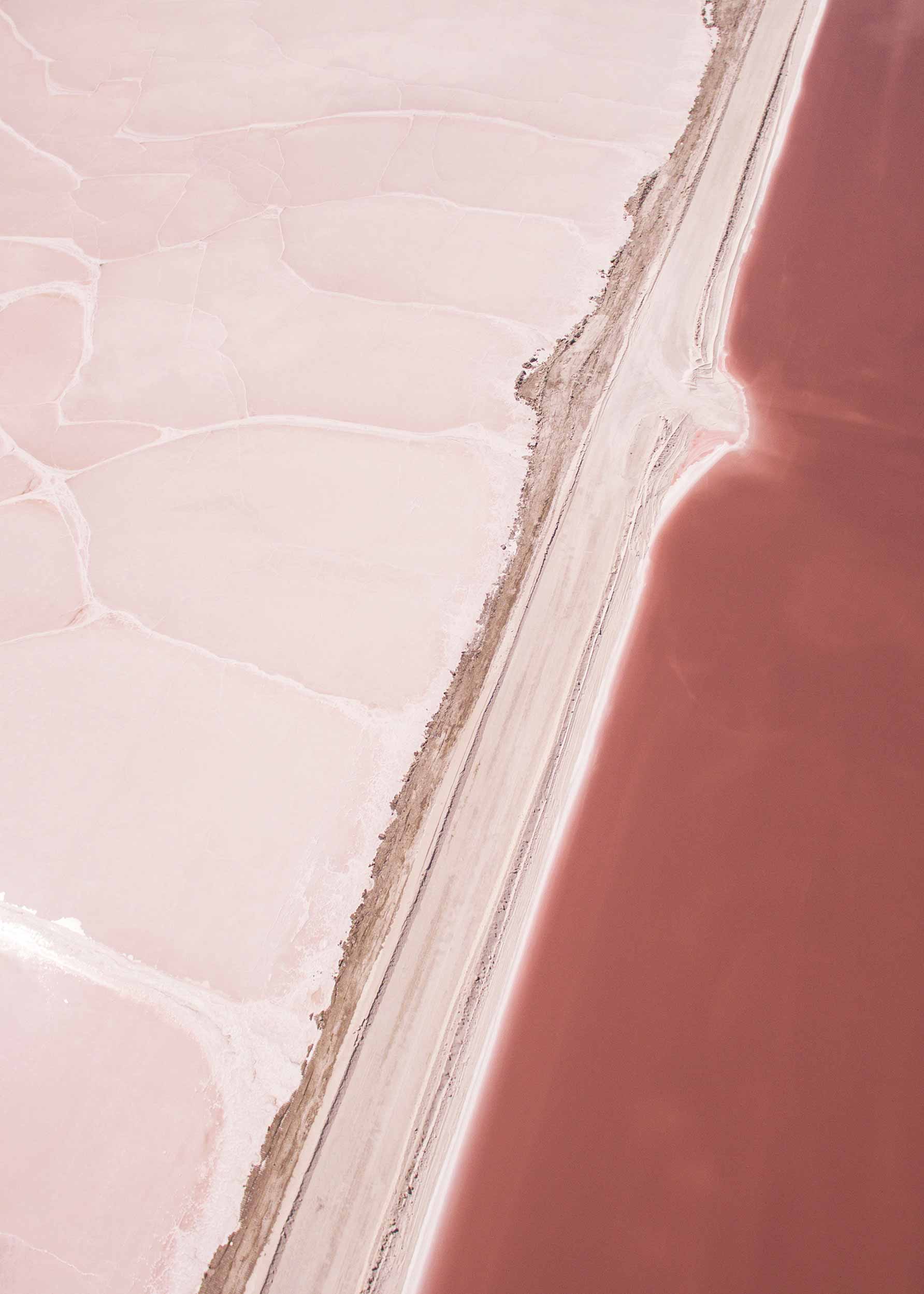 Pink Desert Lærred - Kystlandskabsfotografi (30x40 cm)