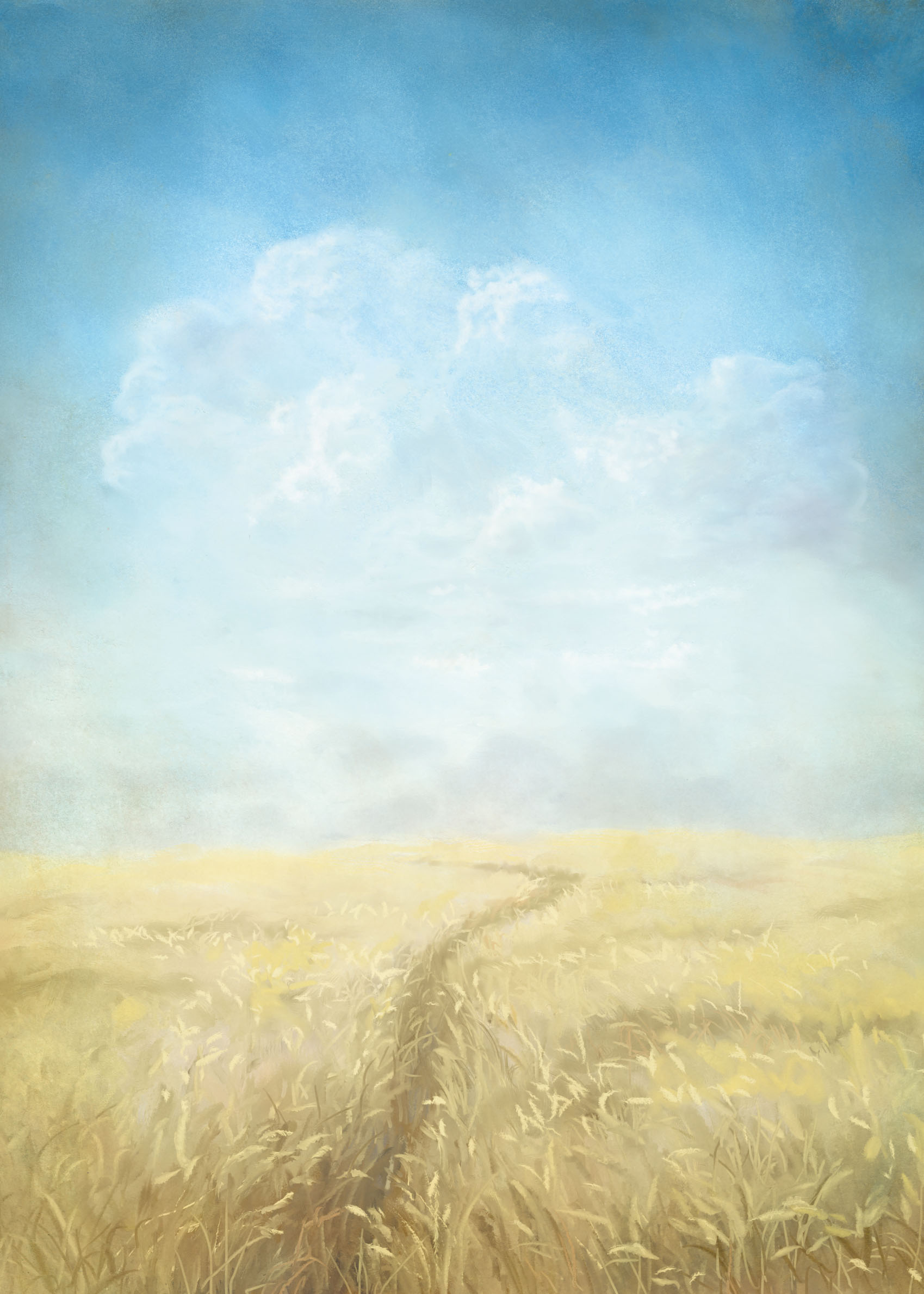 Farmer's Field - Landschaftsfotografie (70x100 cm)