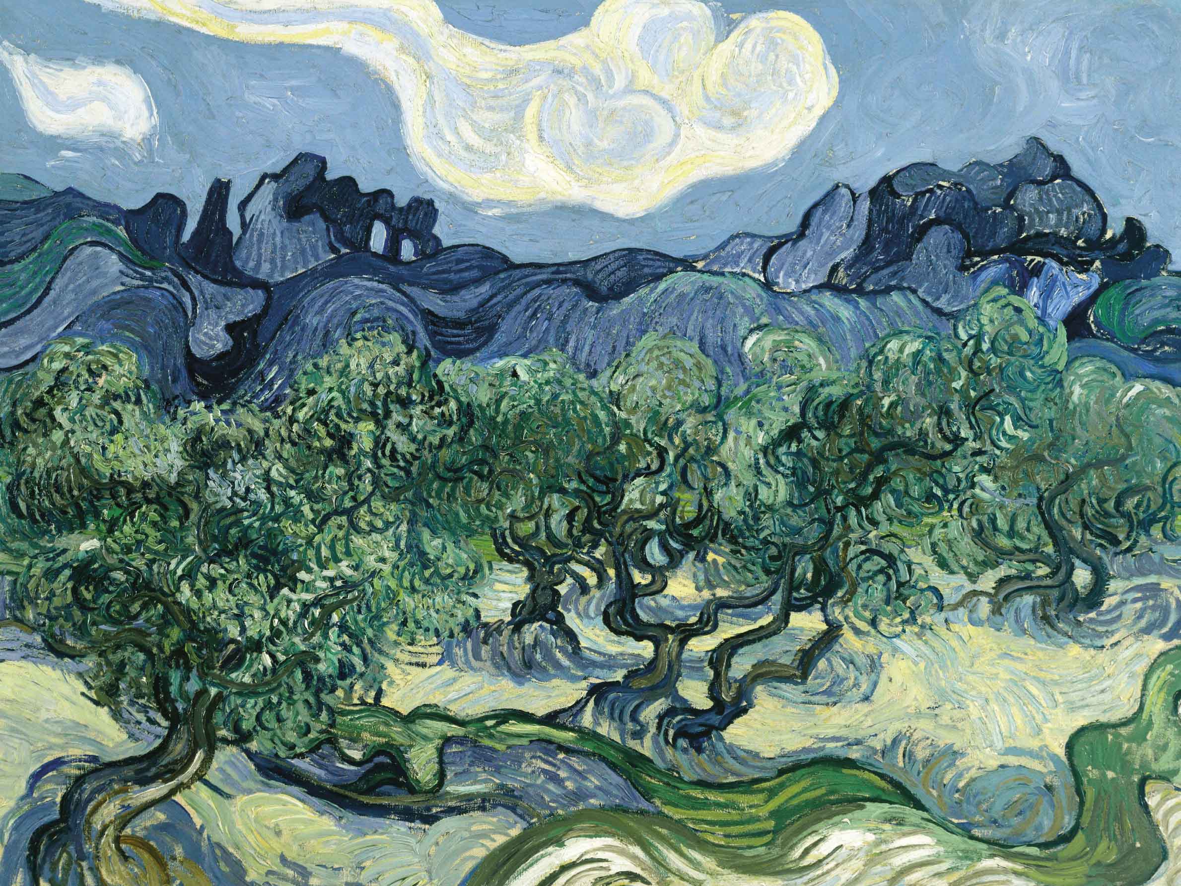The Olive Trees Leinwand - Landschaftsmalerei (30x40 cm)