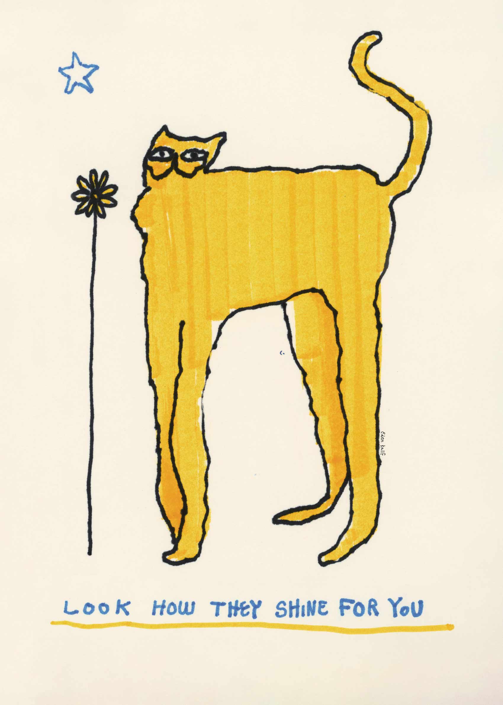 Look How They Shine Canvas - Cat illustration (50x70 cm)