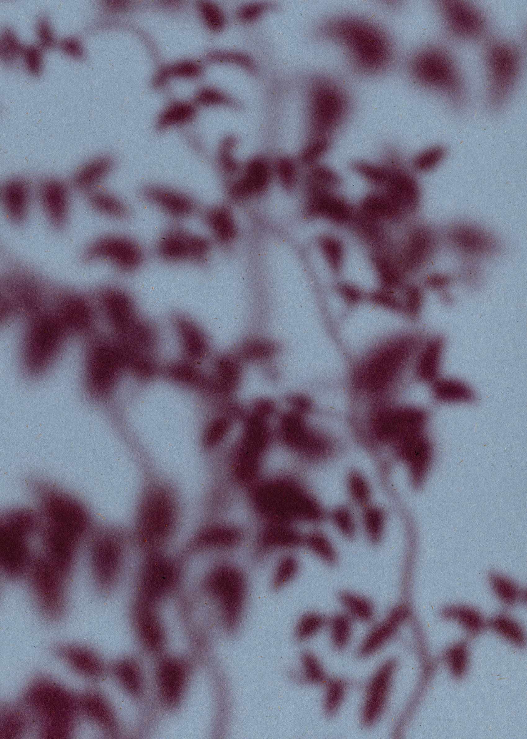 Botanical Shadows I Canvas - Foliage photography (30x40 cm)