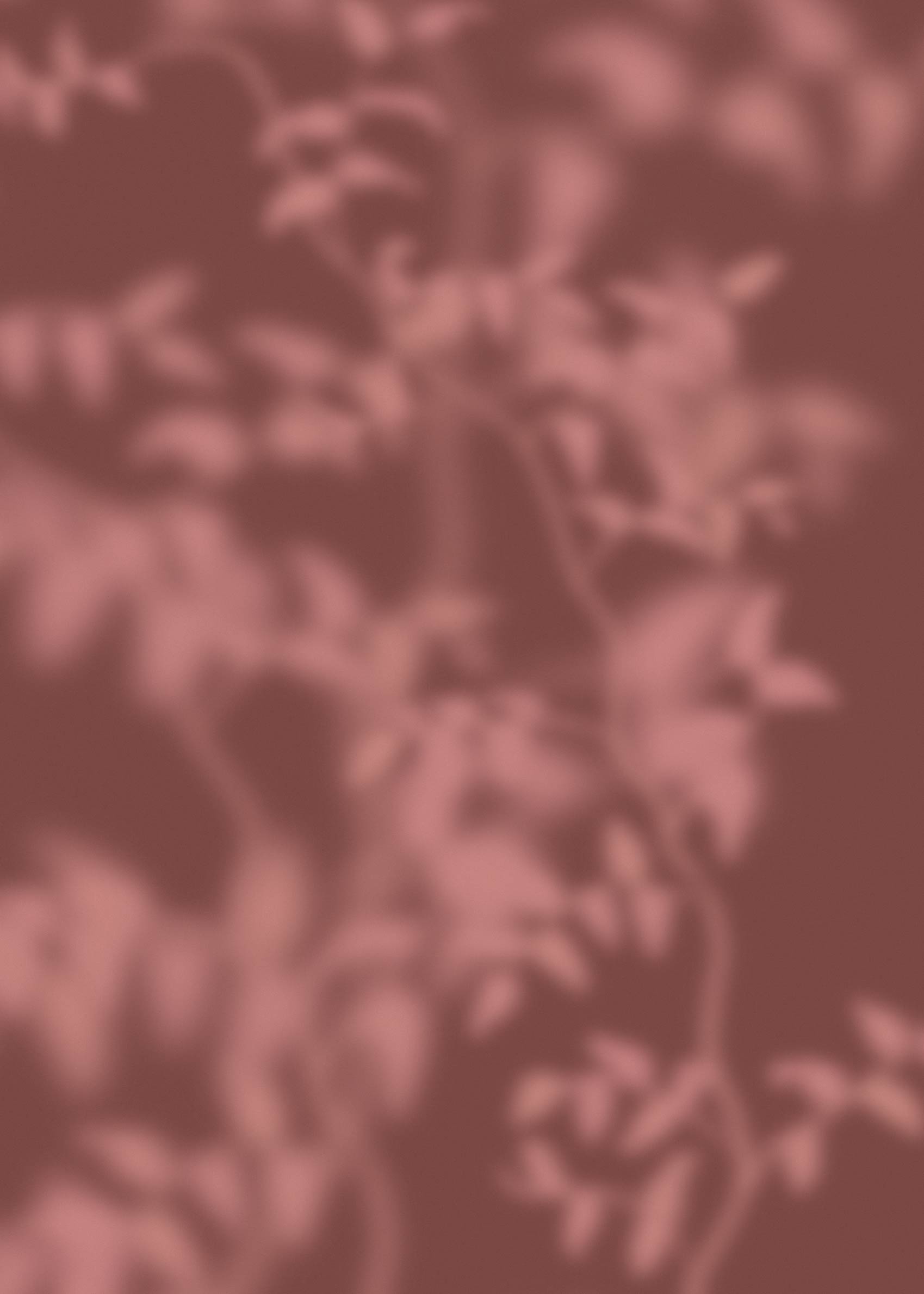 Botanical Shadows II Canvas - Foliage photography (70x100 cm)
