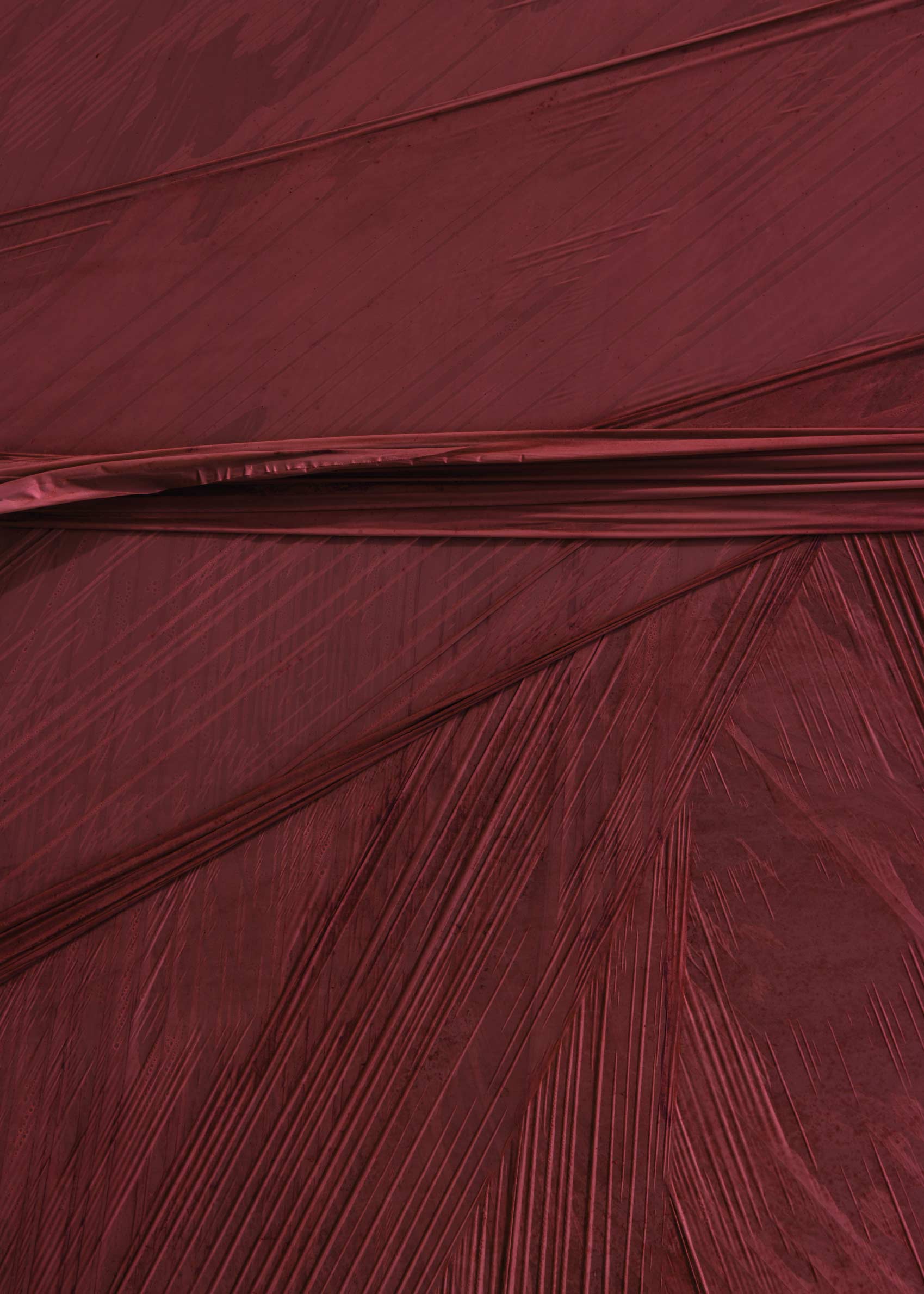 Oxblood Plume Canvas - Fabric photography (70x100 cm)