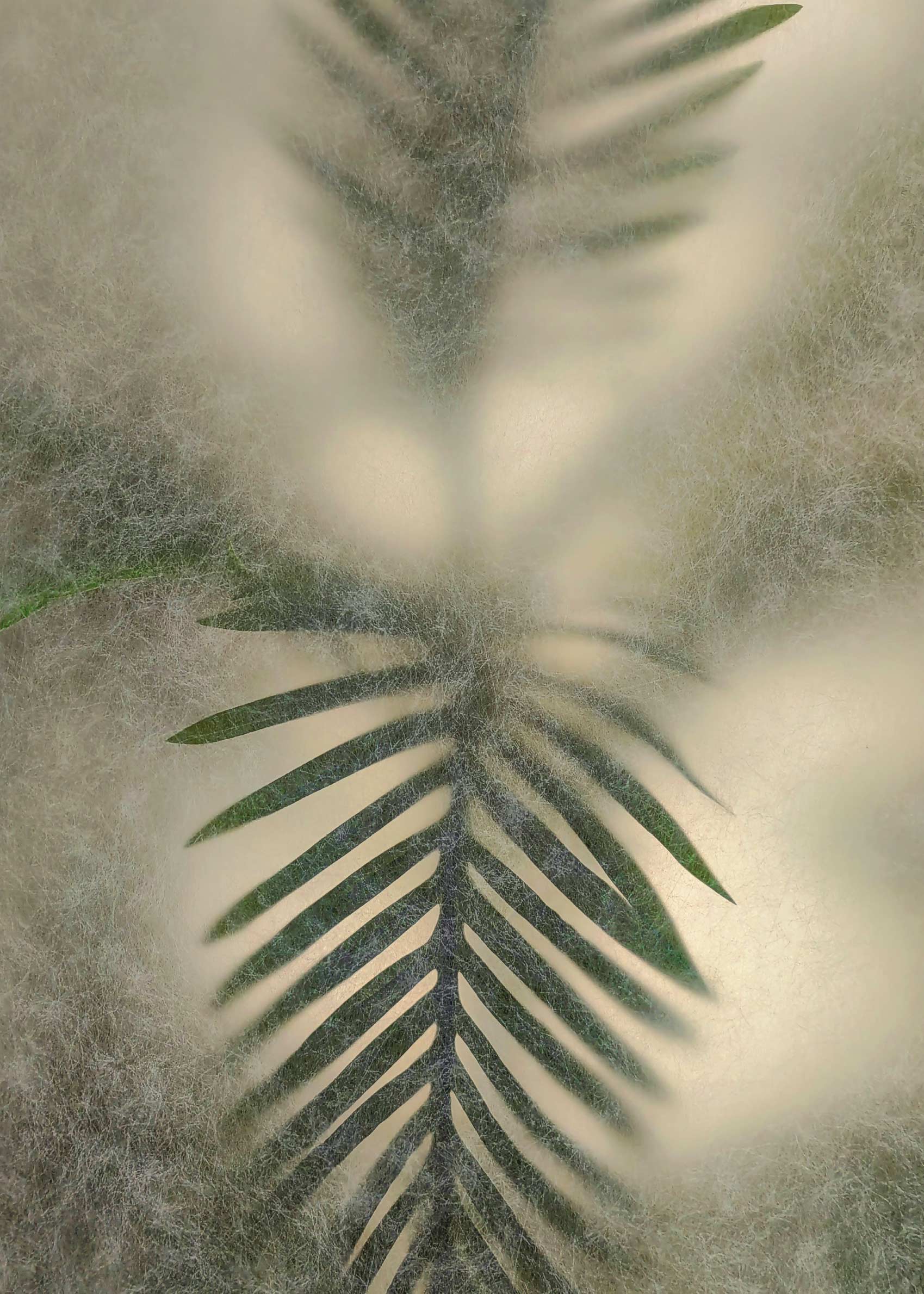 Frosted Palm I Canvas - Tropical leaf photography (30x40 cm)