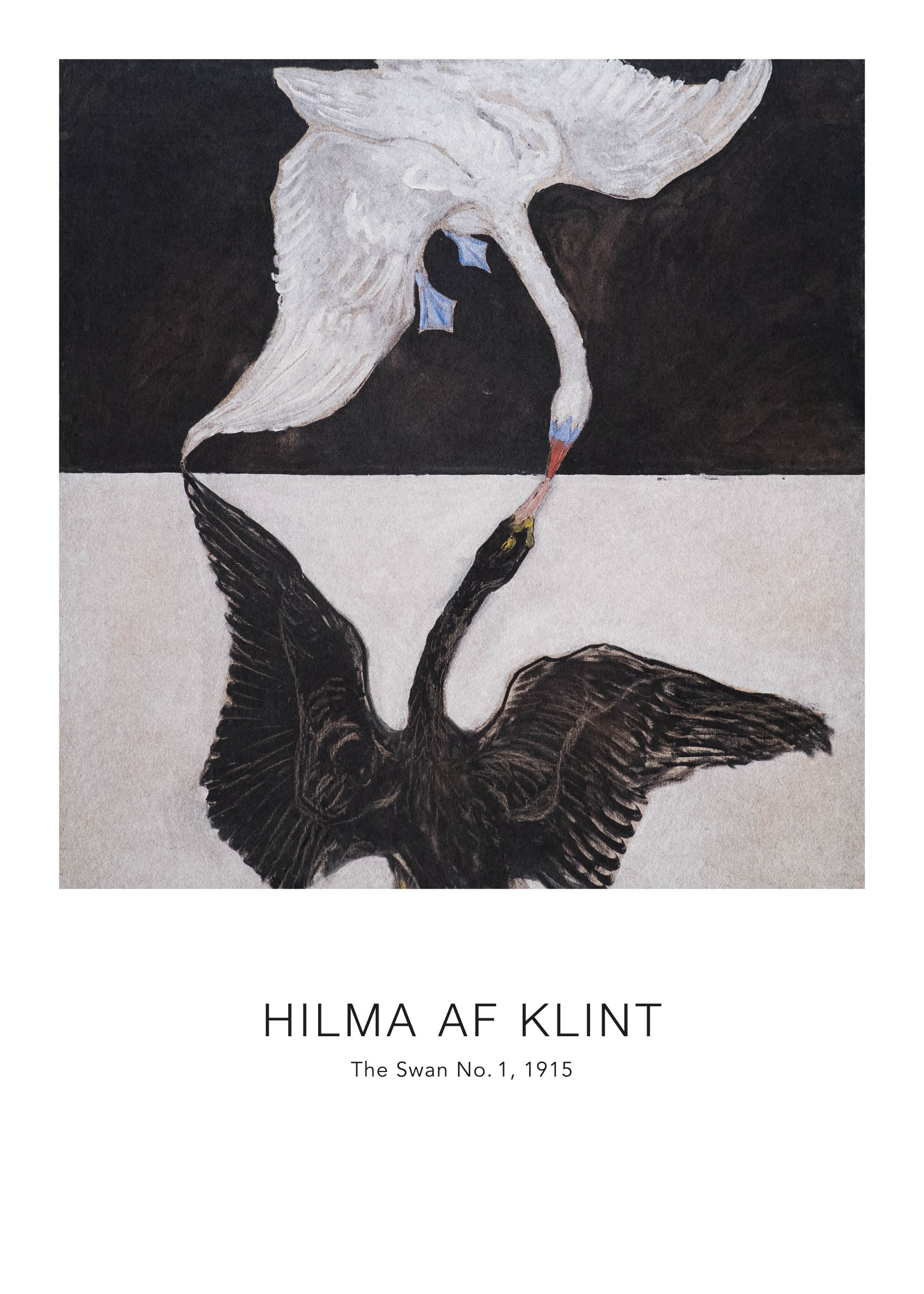 Bird poster – The Swan | Postery