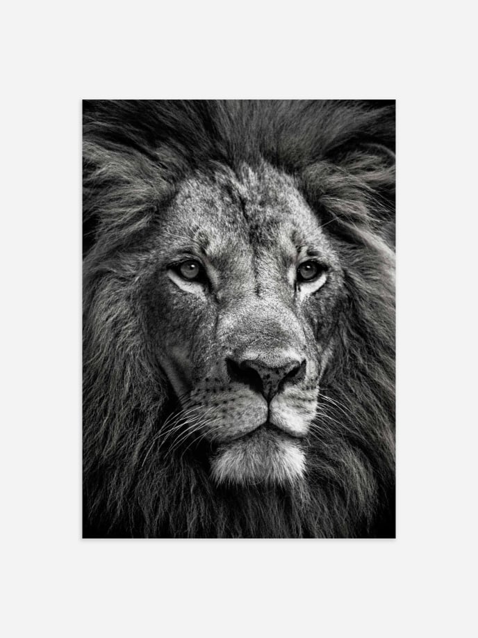 Lion King Plakat