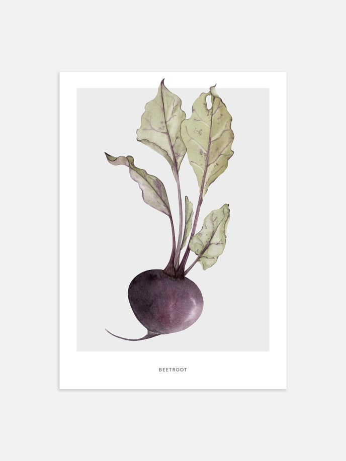 Beetroot Poster