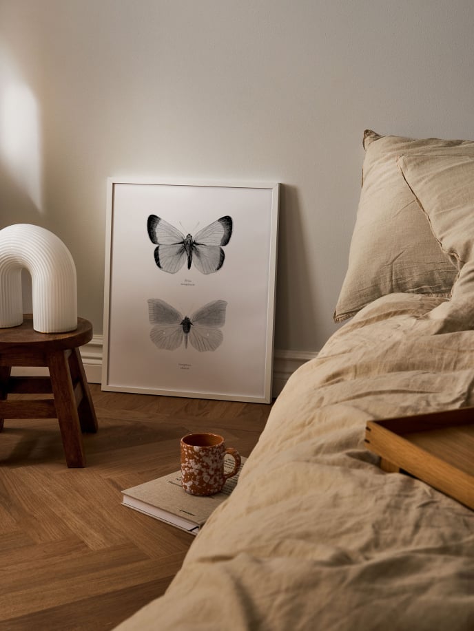Butterfly Poster