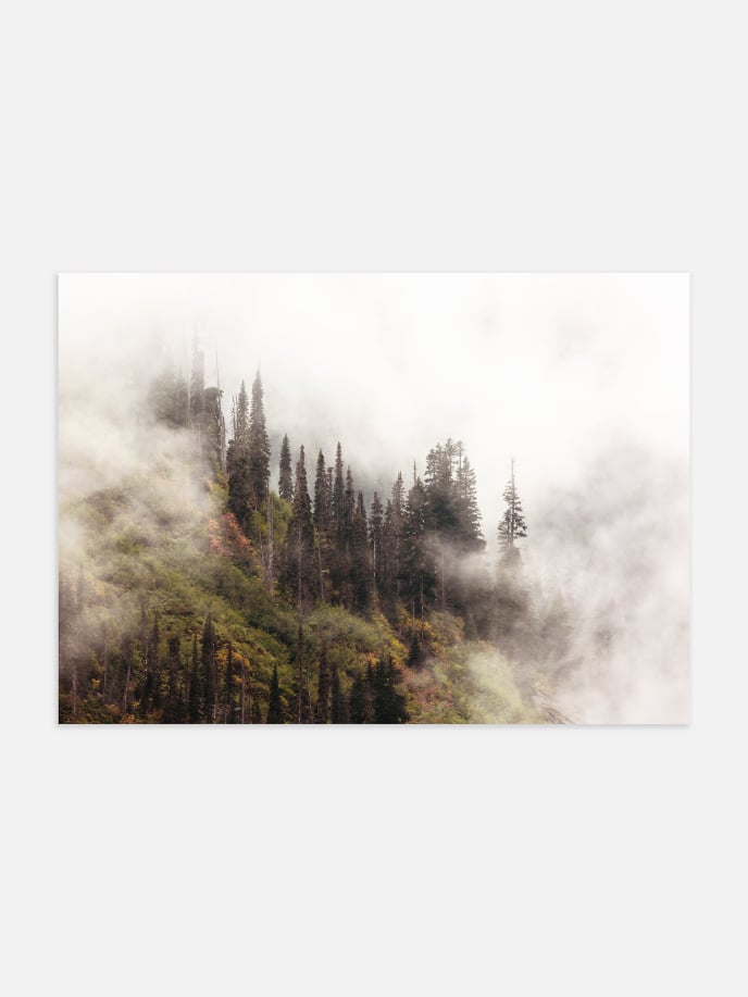 Forest Mist Poster